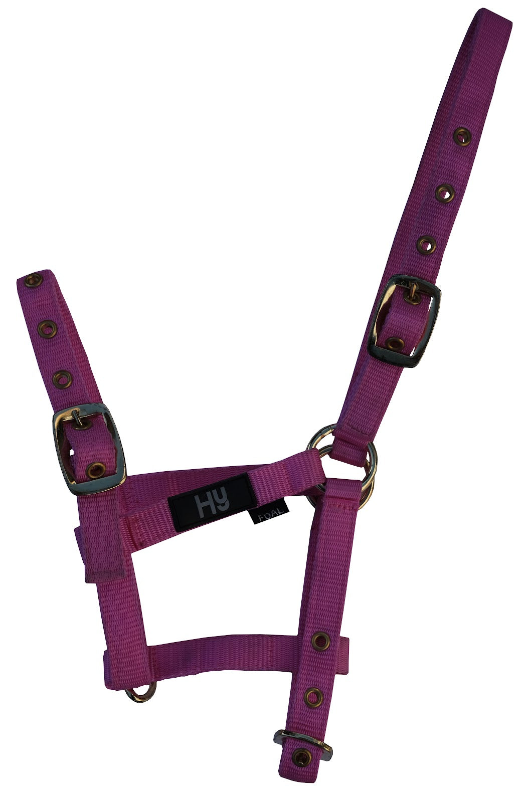 Clearance PP Halter (Asst)