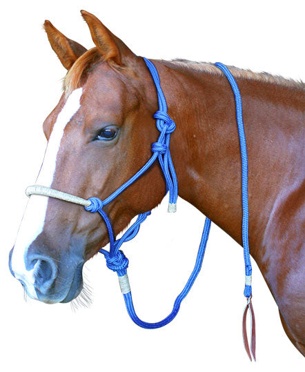 Enzo Deluxe Rope Halter & Lead Set(Cob)%