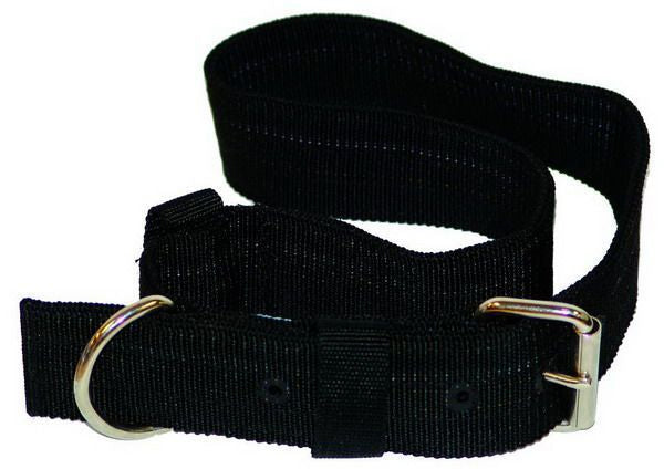 Neck Strap Web (1 inch)