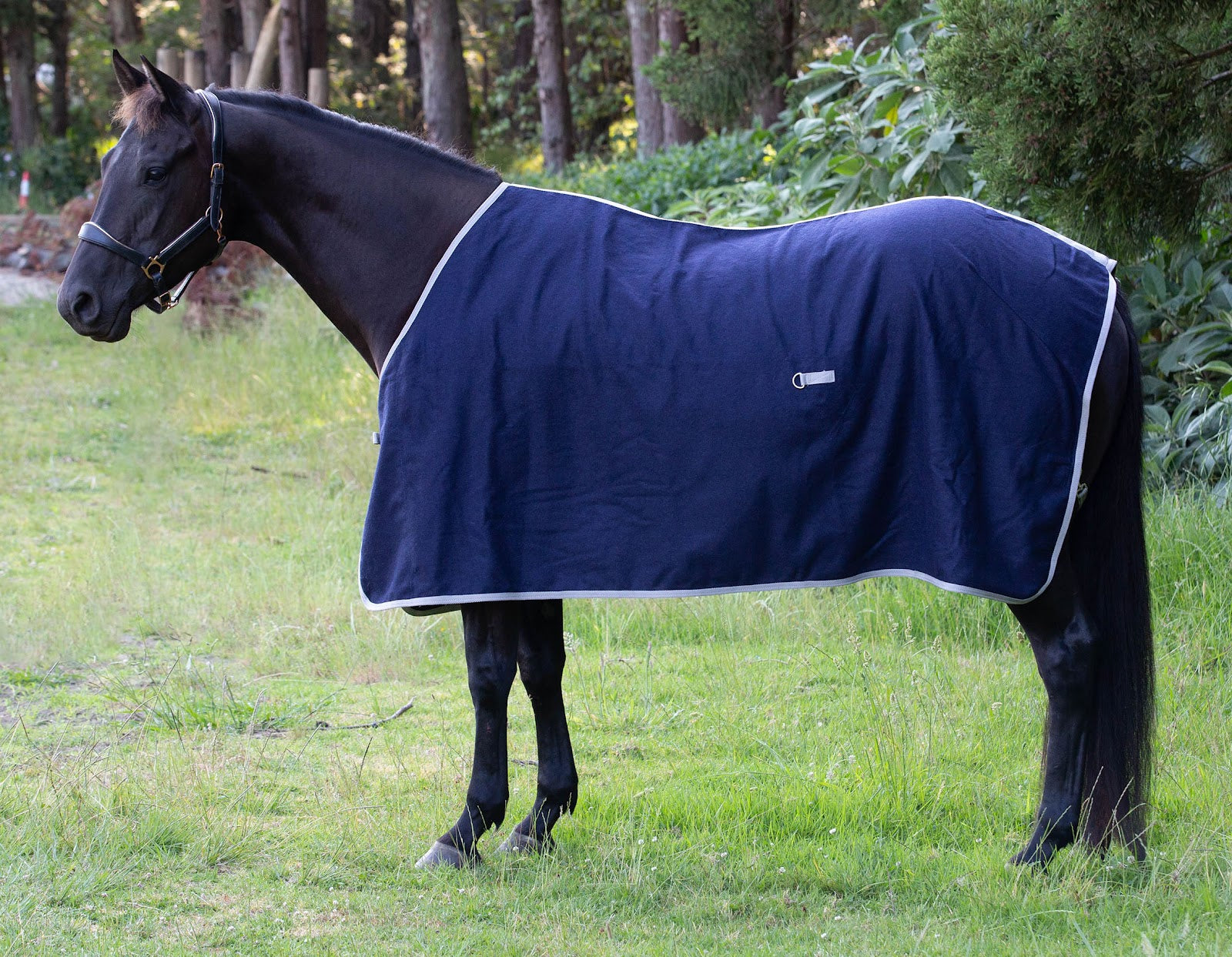 Kiwi Wool Dress Rug