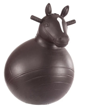 Big Country Toy - Roper Set