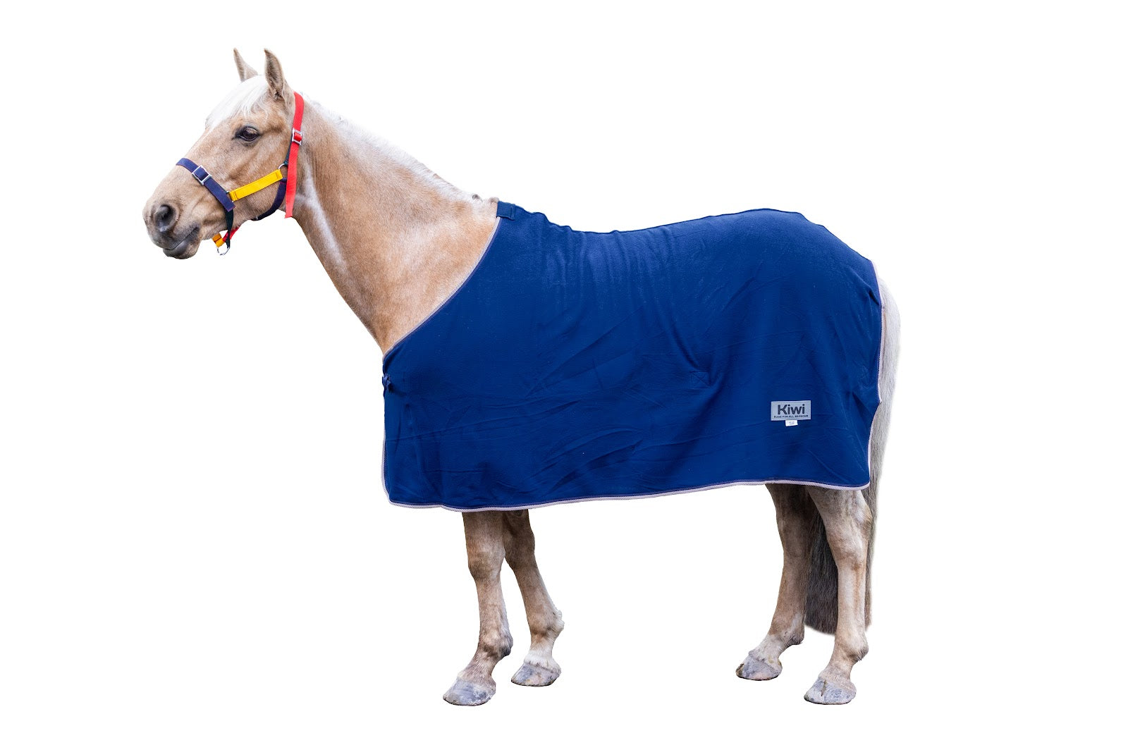 Kiwi Polar Fleece Rug