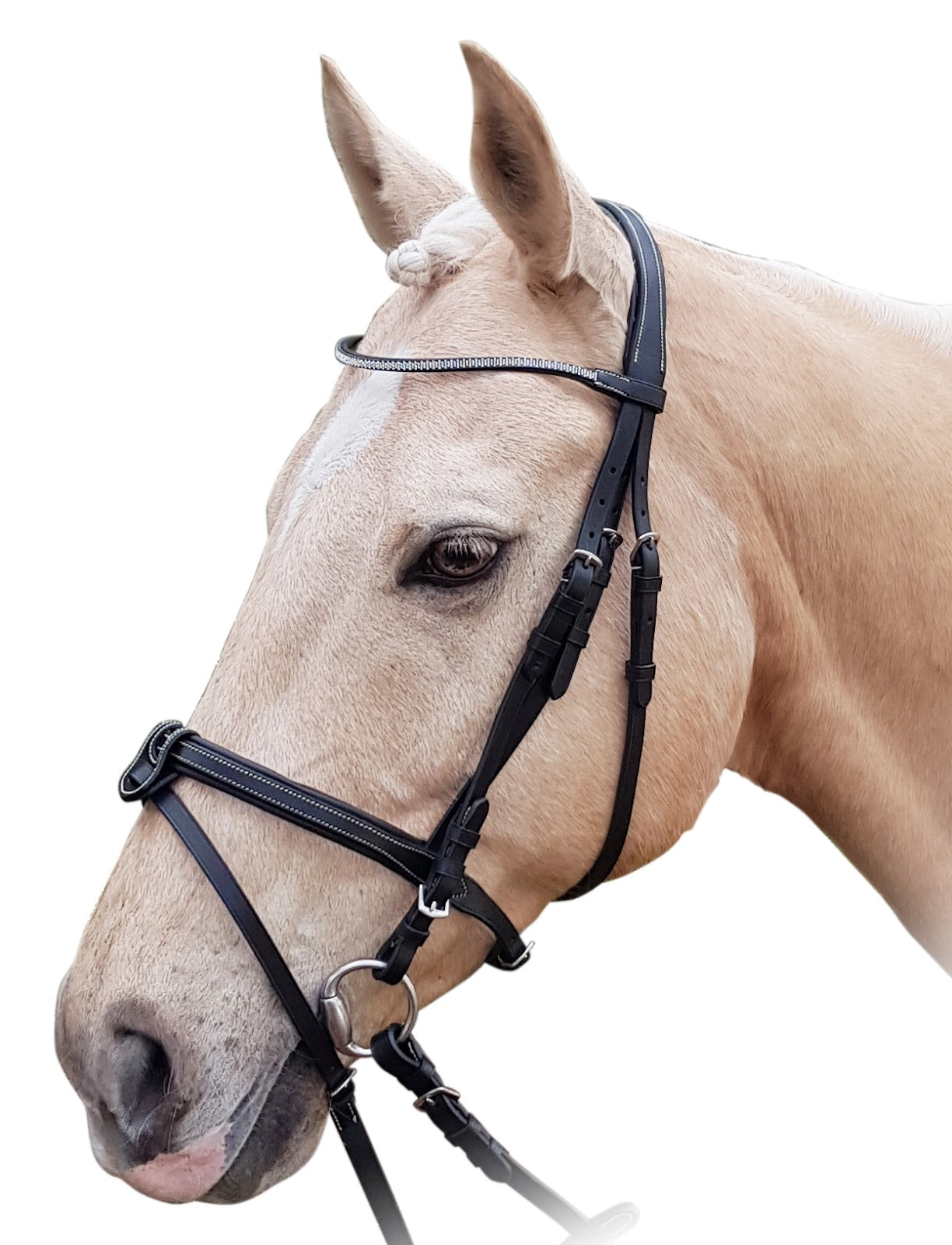 Enzo Crystal Bridle (Cob Black)%