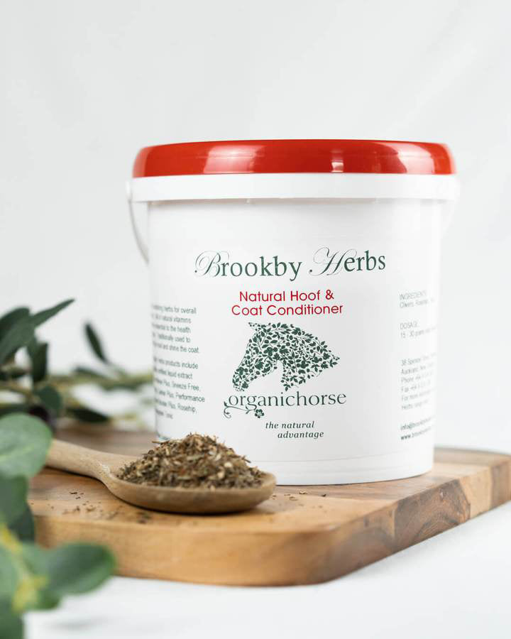 Brookby Herbs Hoof/Coat Cond (600g)