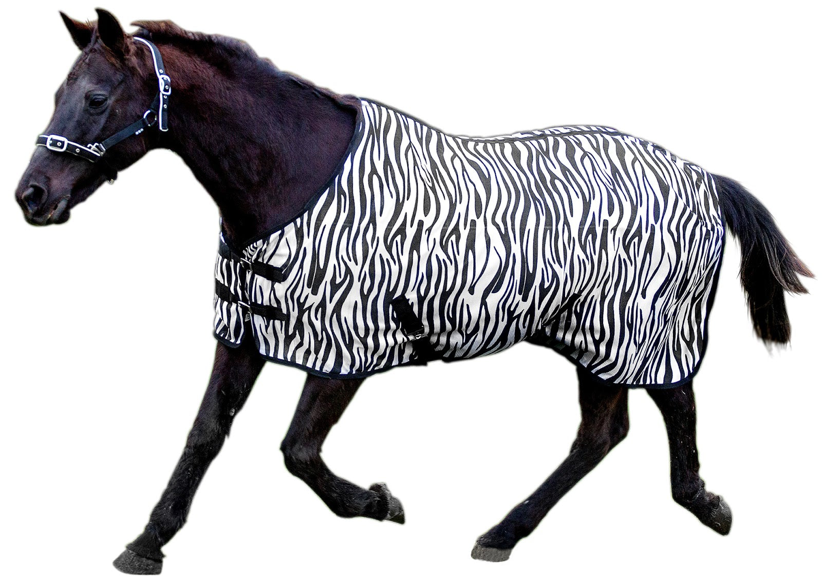 Kiwi Zebra Mesh Rug%