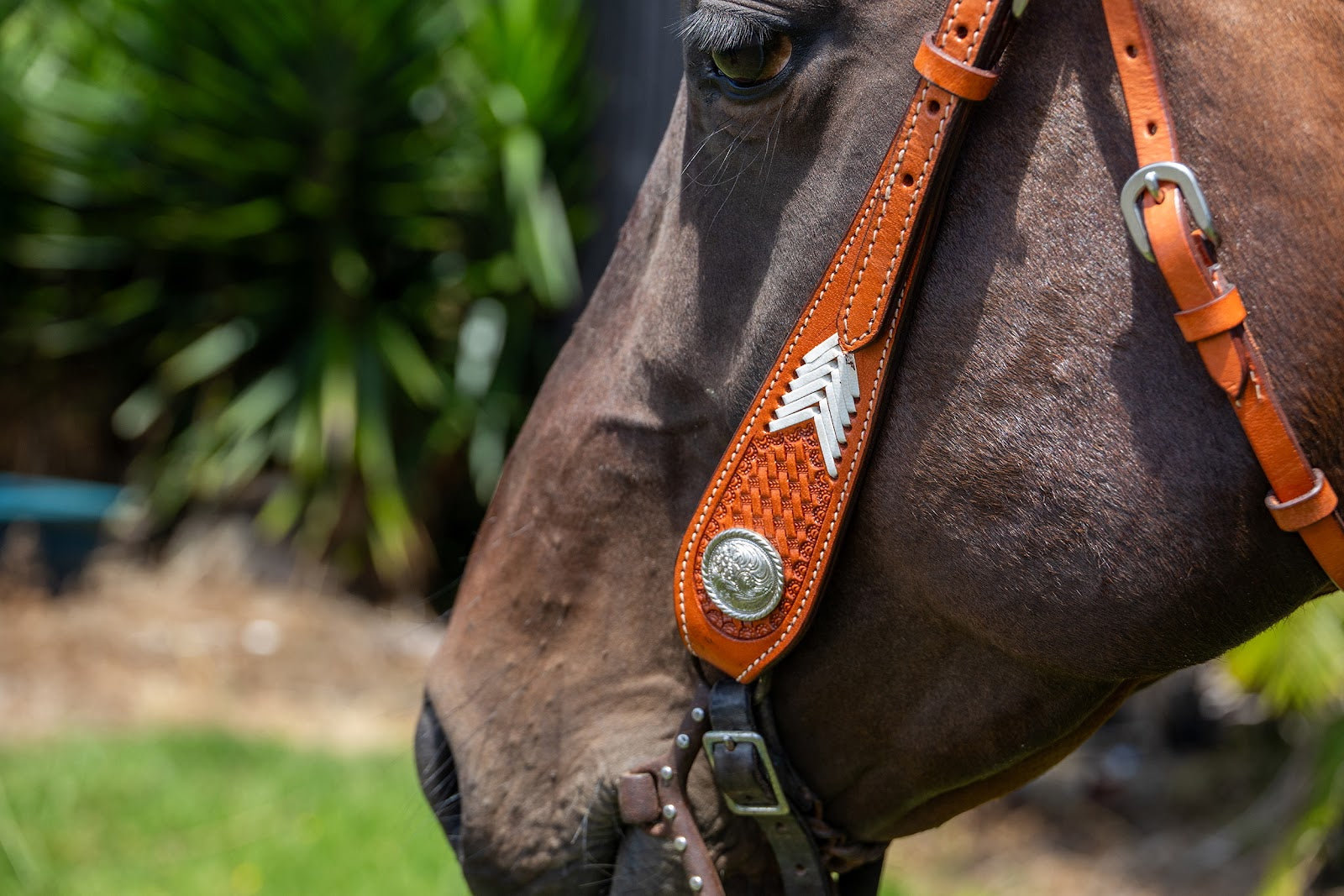 Zilco Headstall Single Ear (Buckstitch)