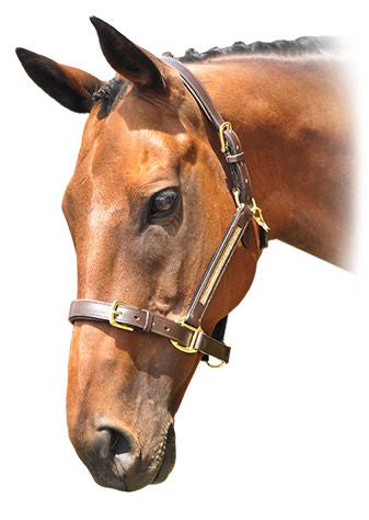 Enzo Diamante Halter (Full Black) %
