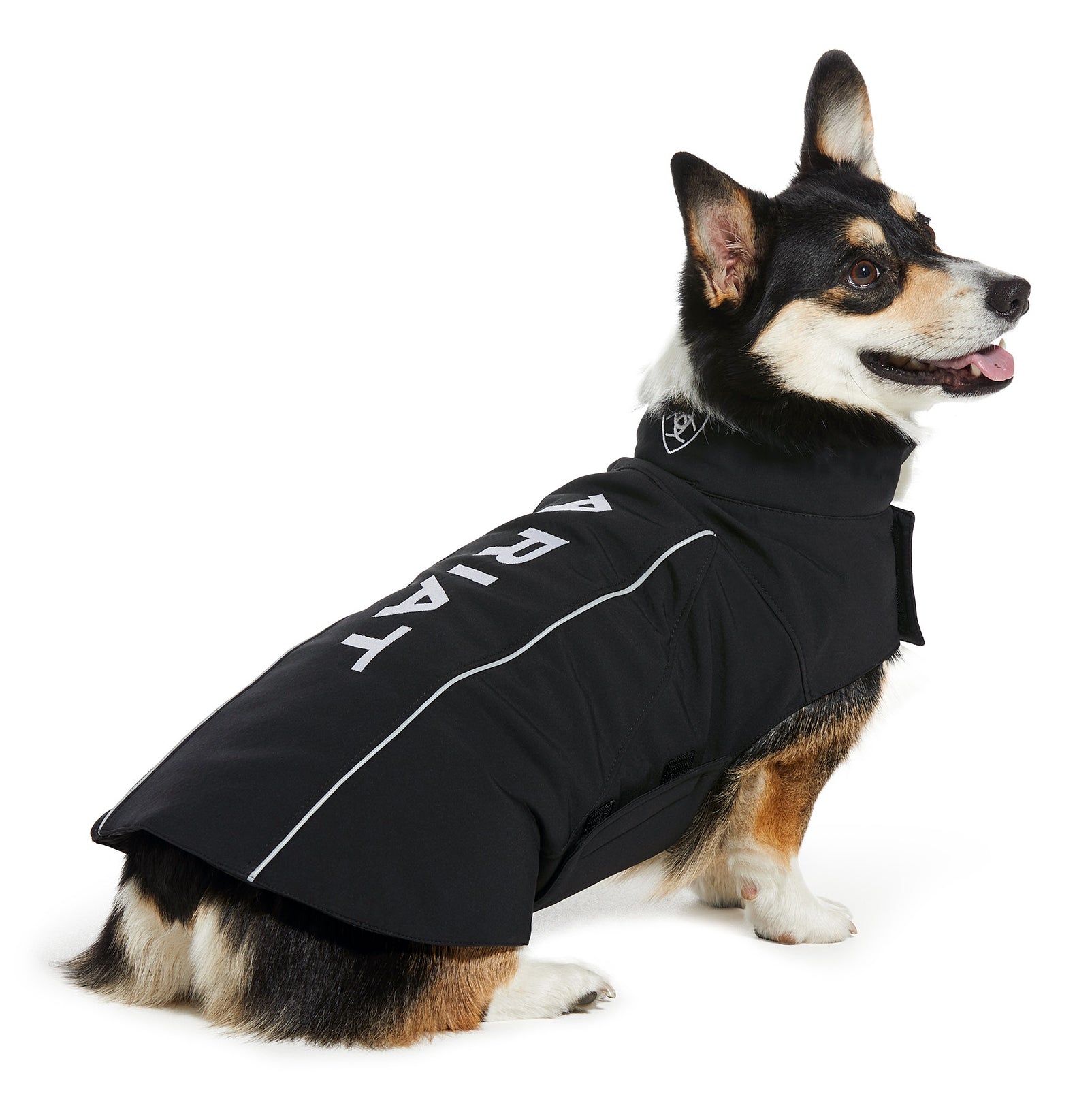 Ariat Team Softshell Dog Jacket Black / Large