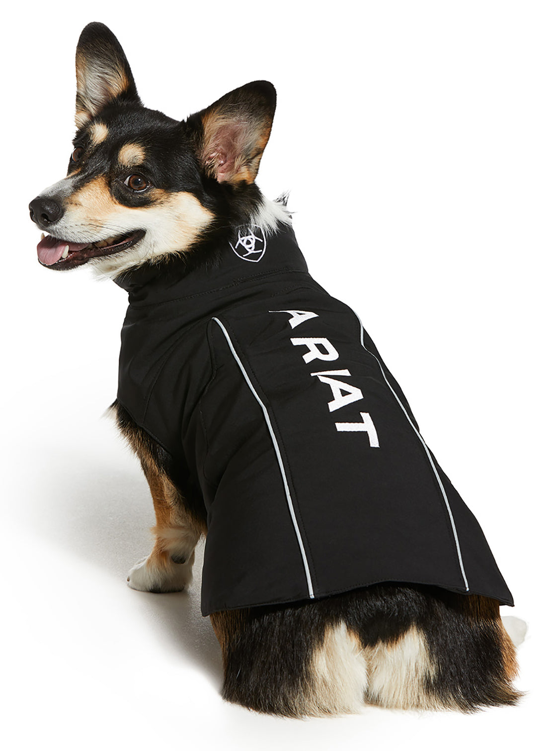 Ariat Team Softshell Dog Jacket Black / Large