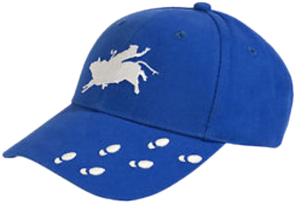 Ariat Cap Kids Glow In The Dark (Blue)%