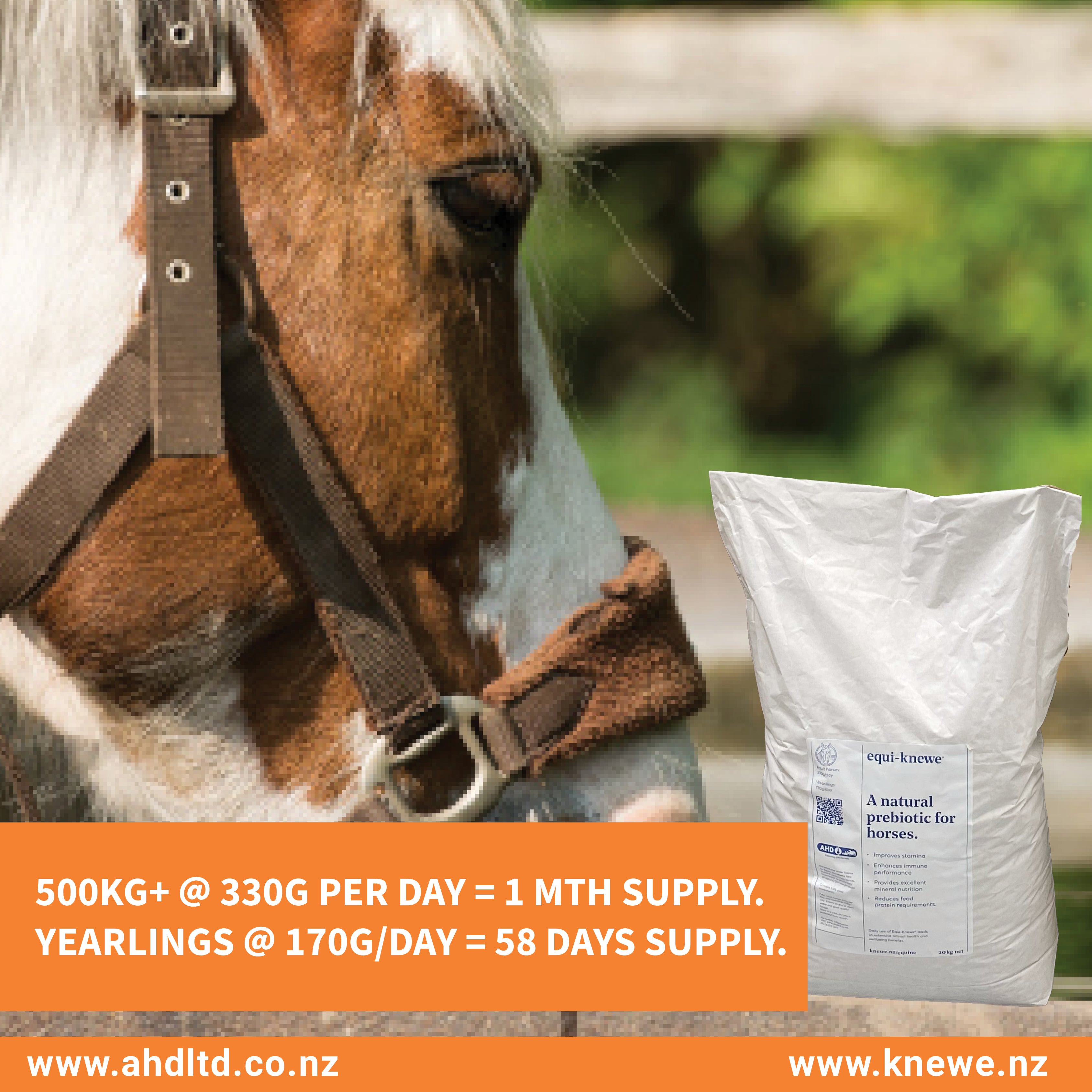 AHD Equi-Knewe (10kg)