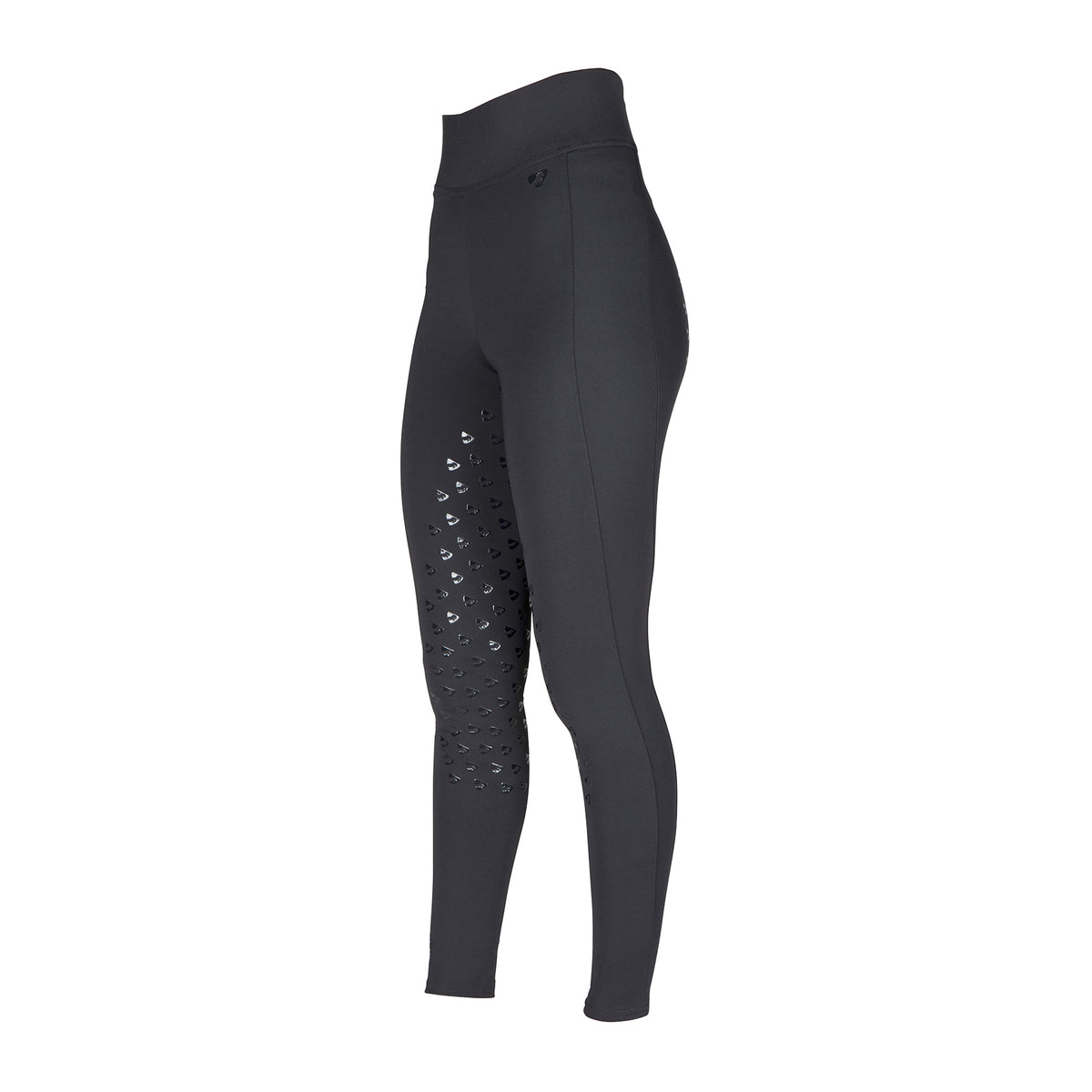 Aubrion Eltar Riding Tights