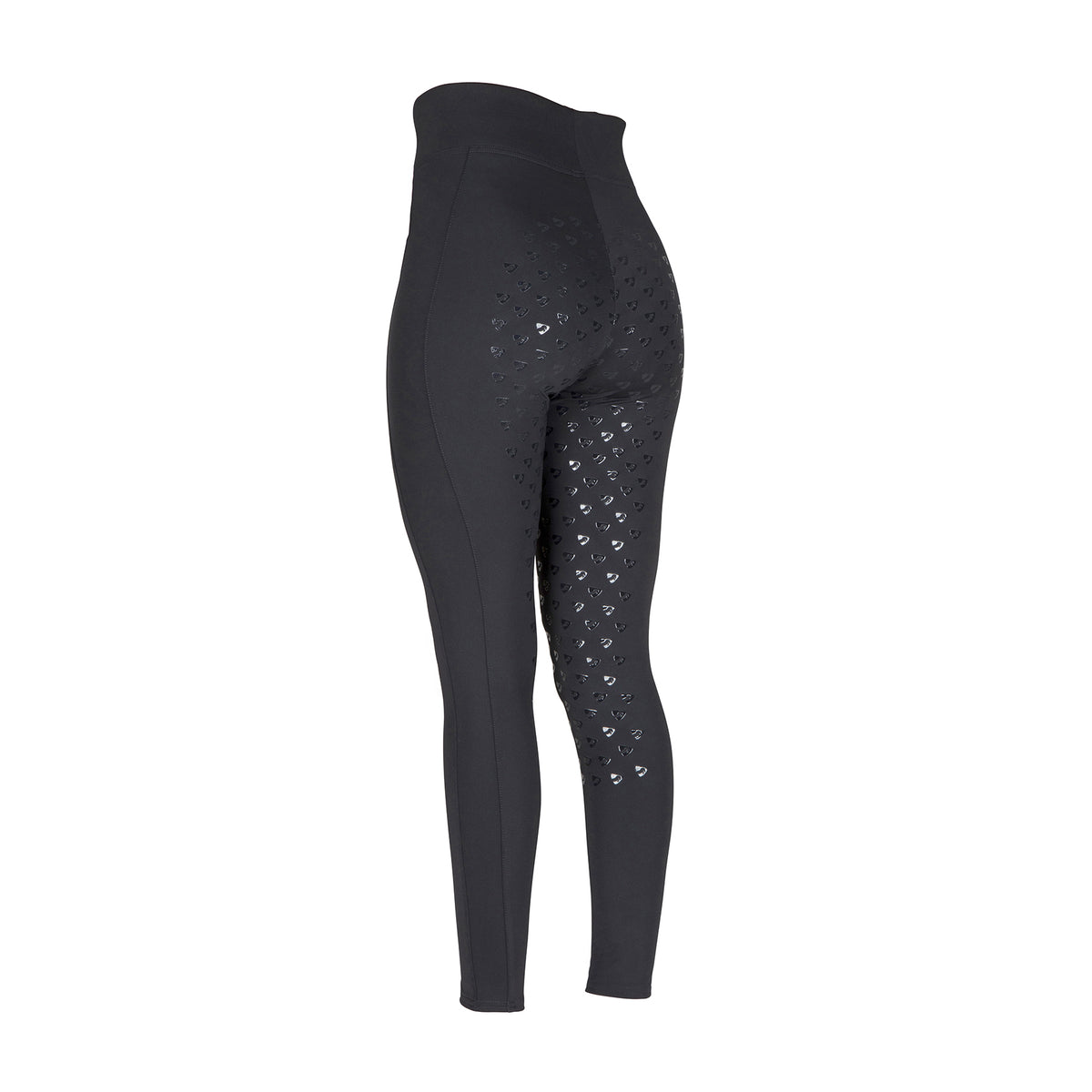 Aubrion Eltar Riding Tights