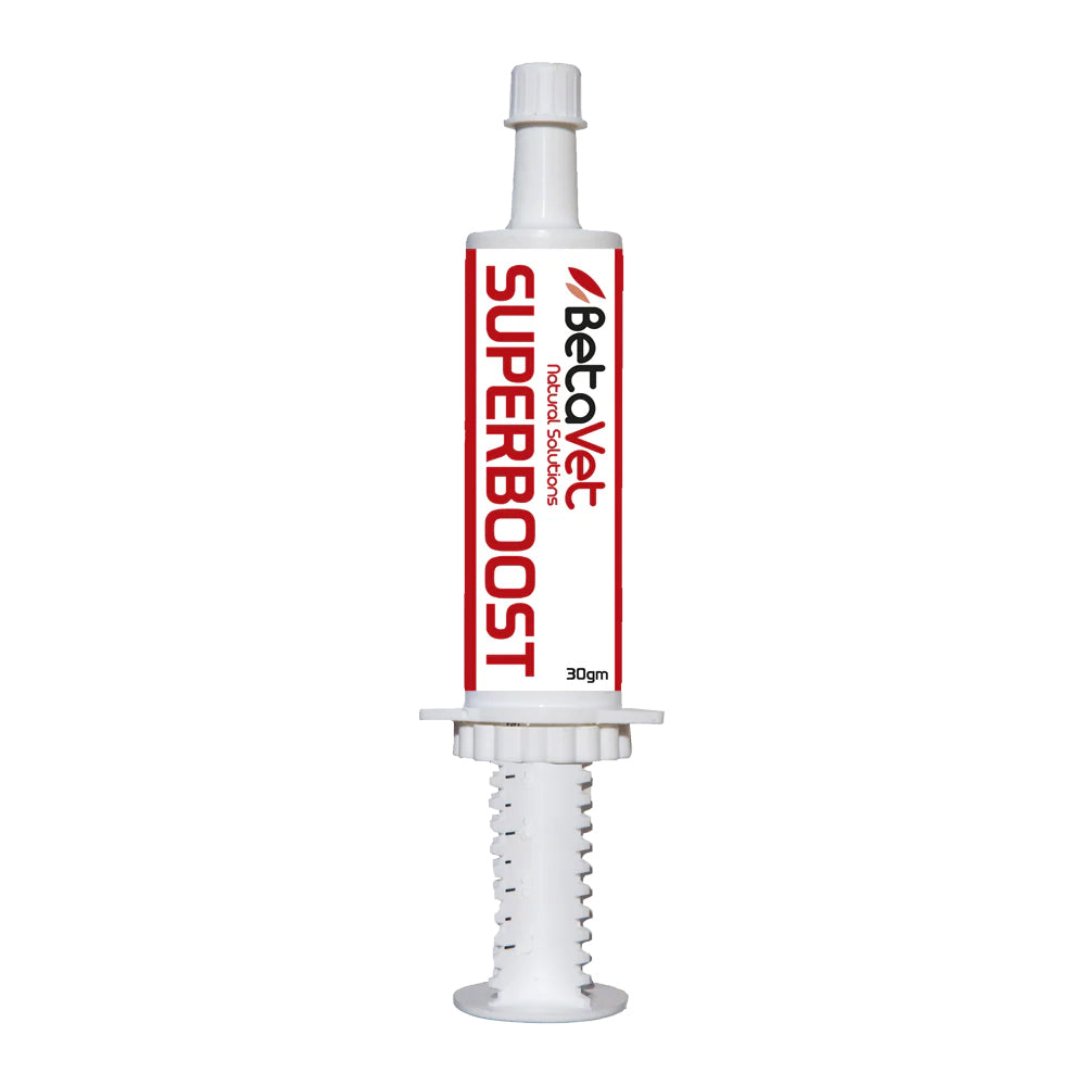 BetaVet Super Boost (30gm)
