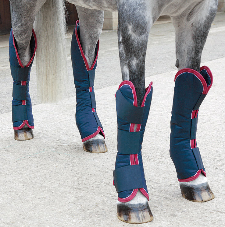 Shires Travel Boots Navy/Red / Large