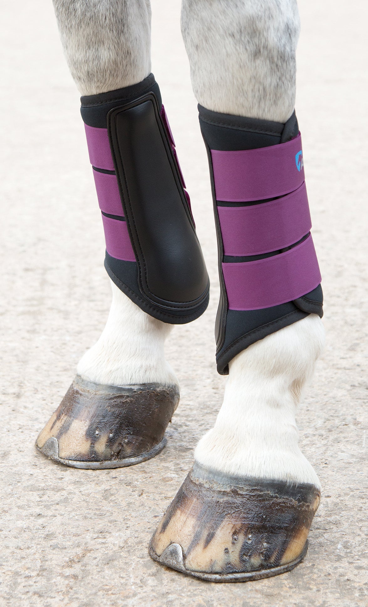 Shires Neoprene Brushing Boots Black / Full