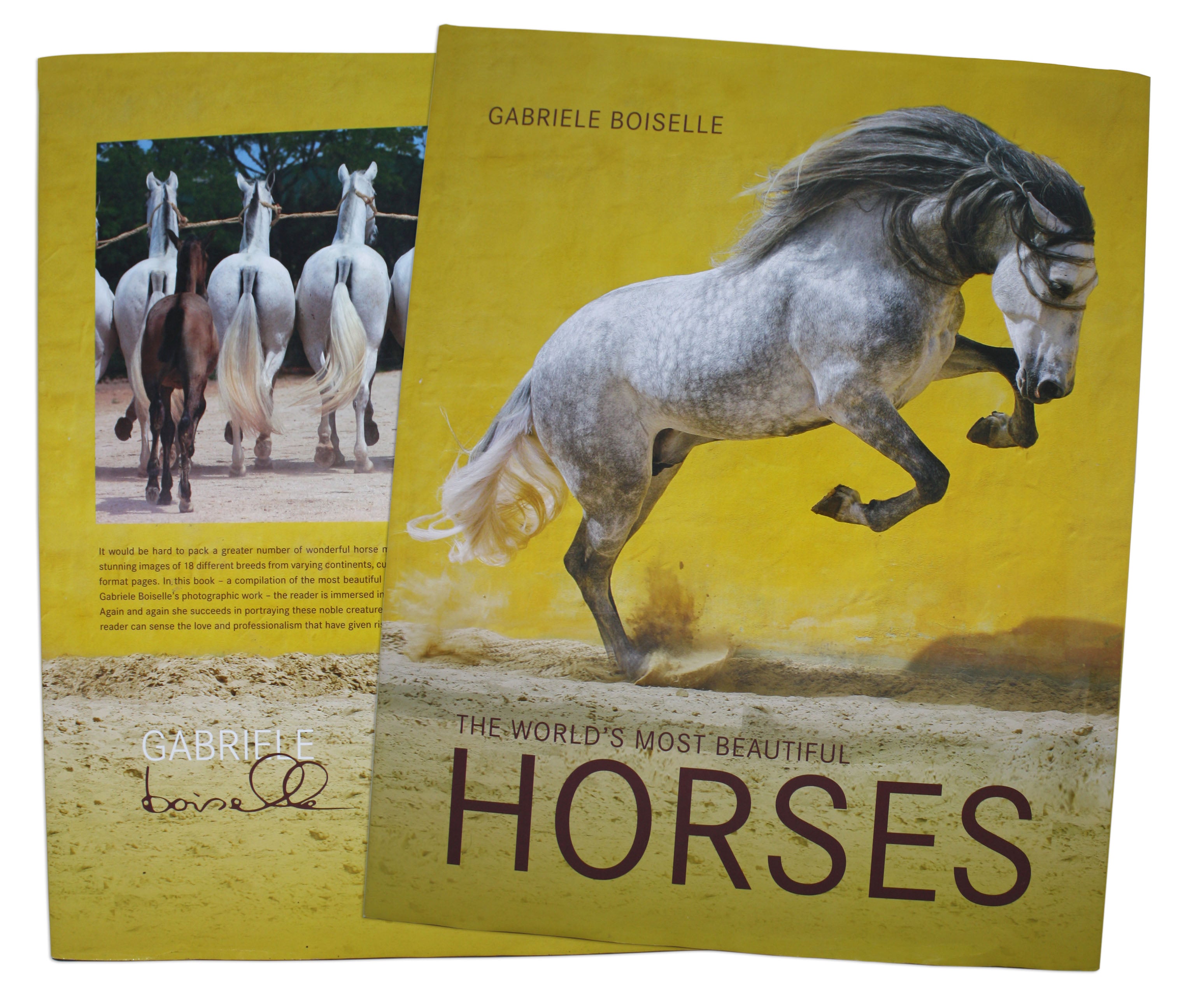 Horses World's Most Beautiful%