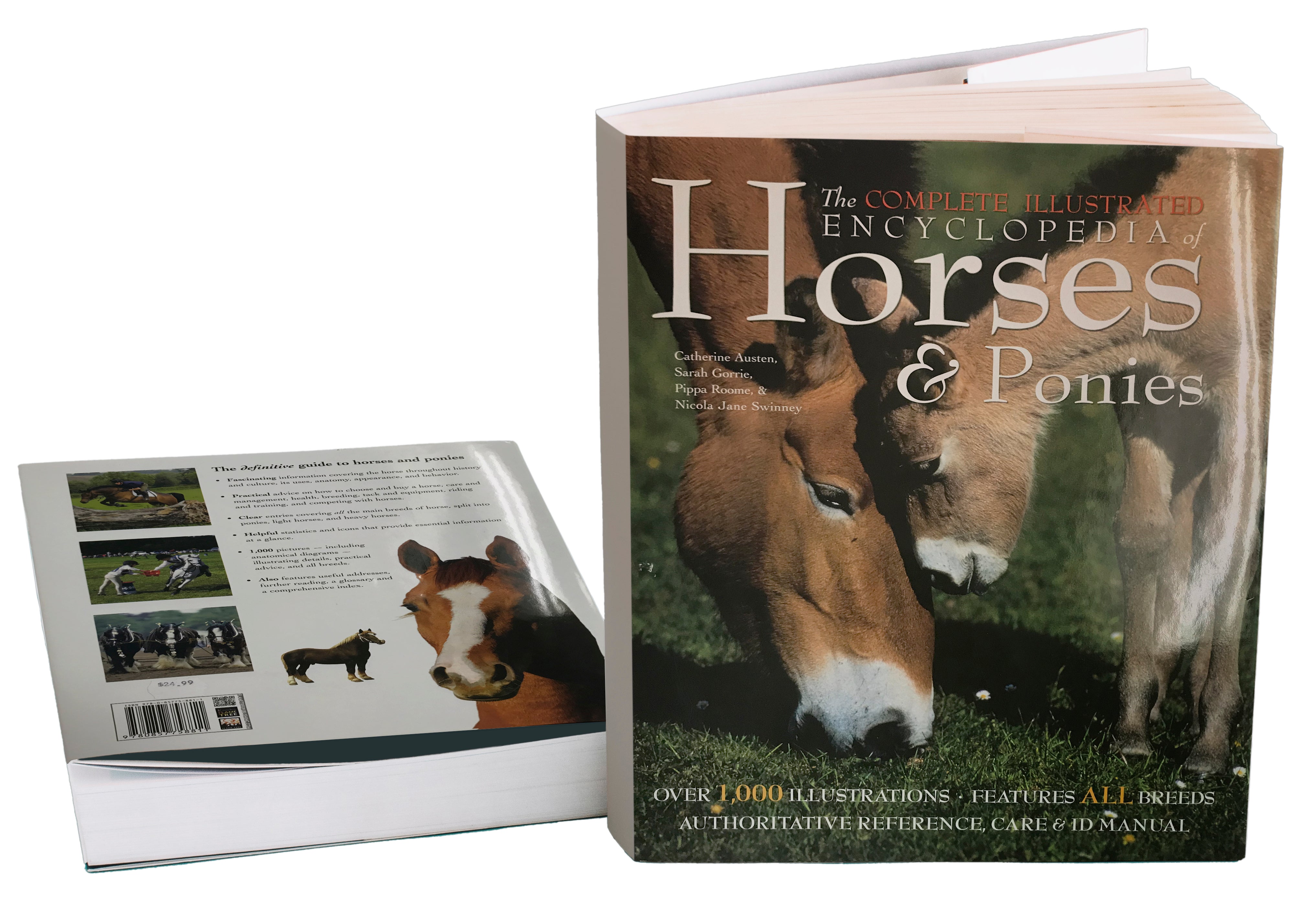Illustrated Encyclopedia of Horses%
