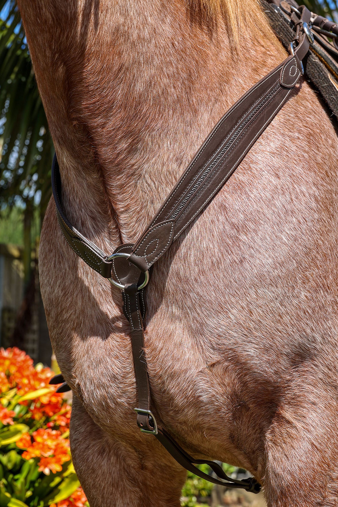 Origin Calgary Western Breastplate