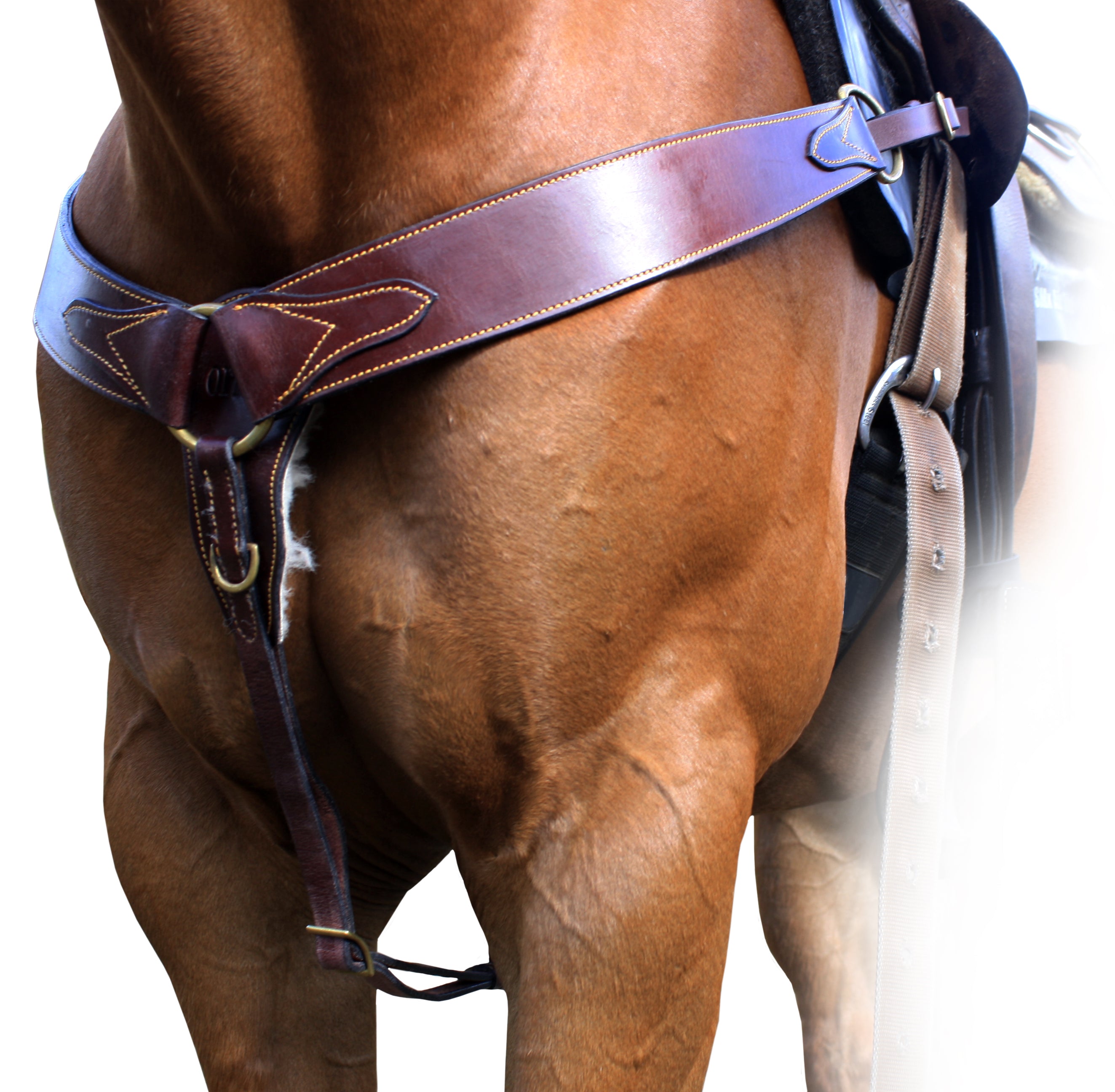 Origin Roping Breastplate