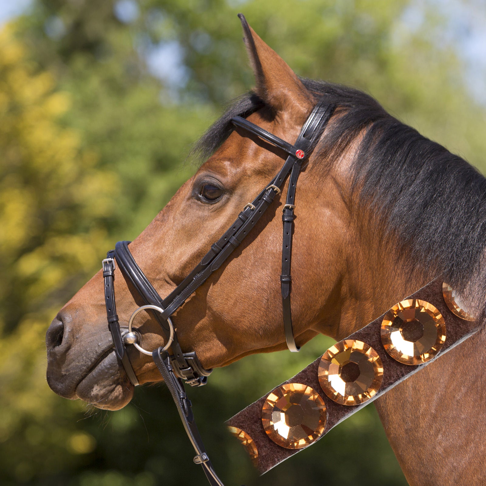 Kieffer Bridle Arezzo Crystal Brown / Full