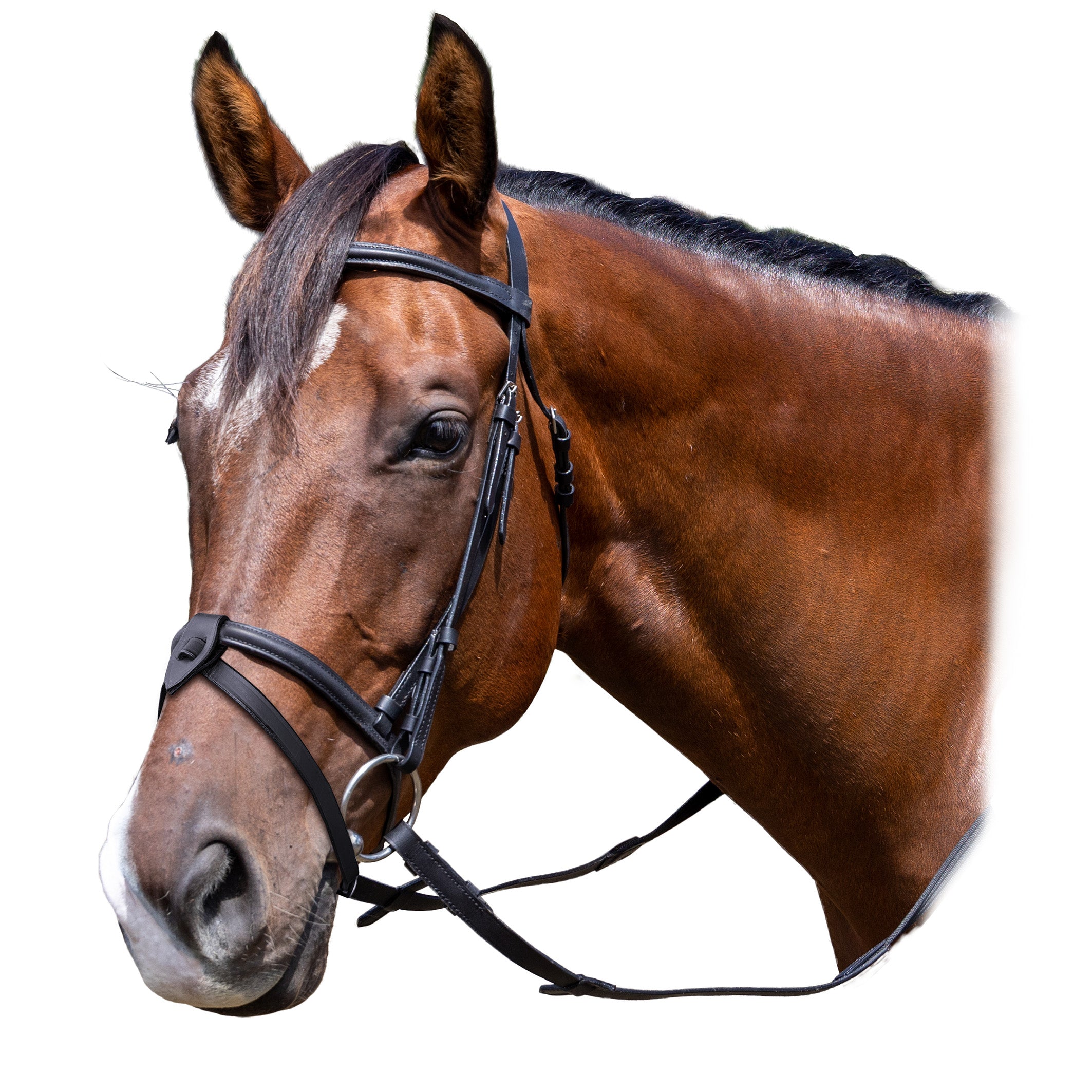 Celtic Bridle W/Removable Strap % Black / Cob
