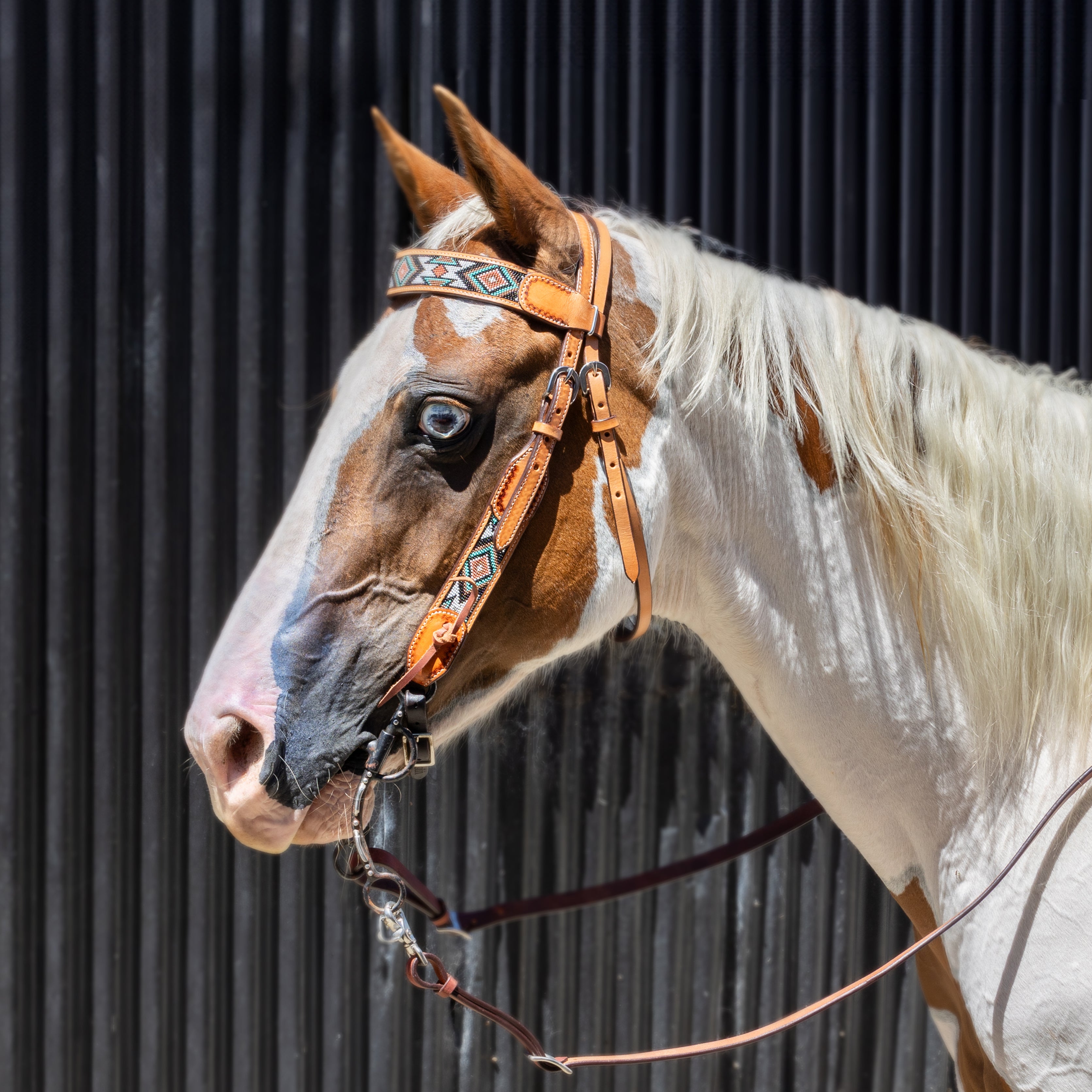 Origin Dakota Leather Headstall