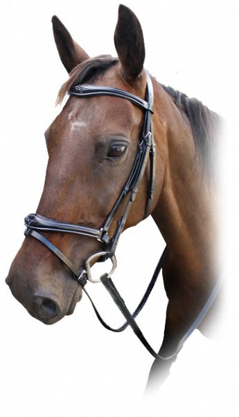 Enzo Comfort + Bridle Brown / Pony