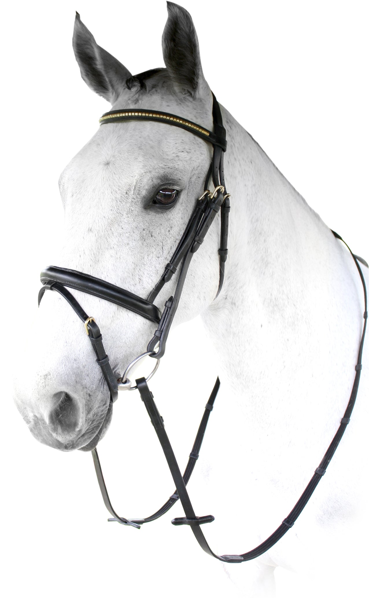Enzo Euro Clincher Bridle One / Cob