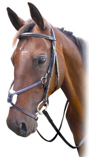 Enzo Grackle Bridle Black / Cob