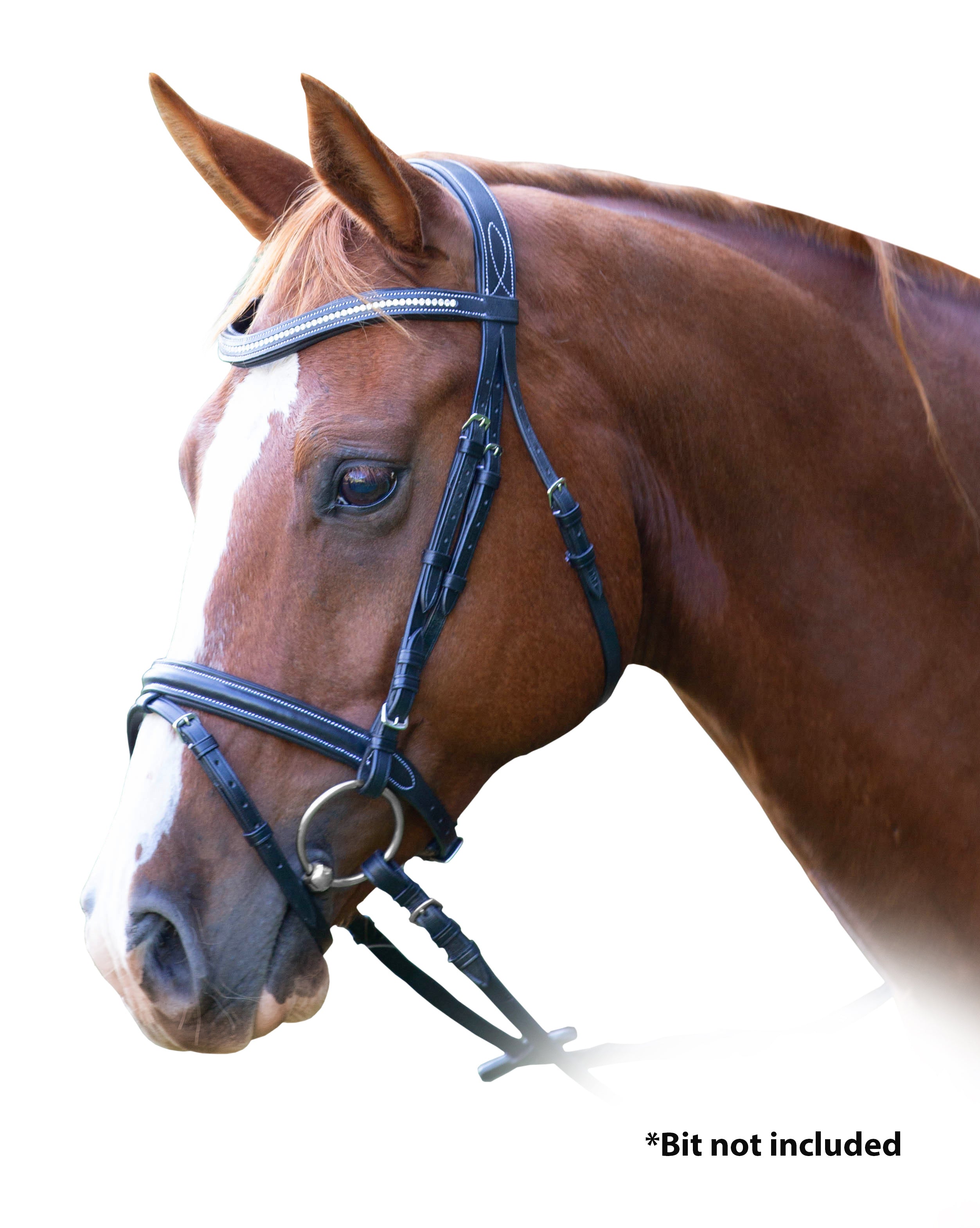Enzo Grace Bridle One / Full