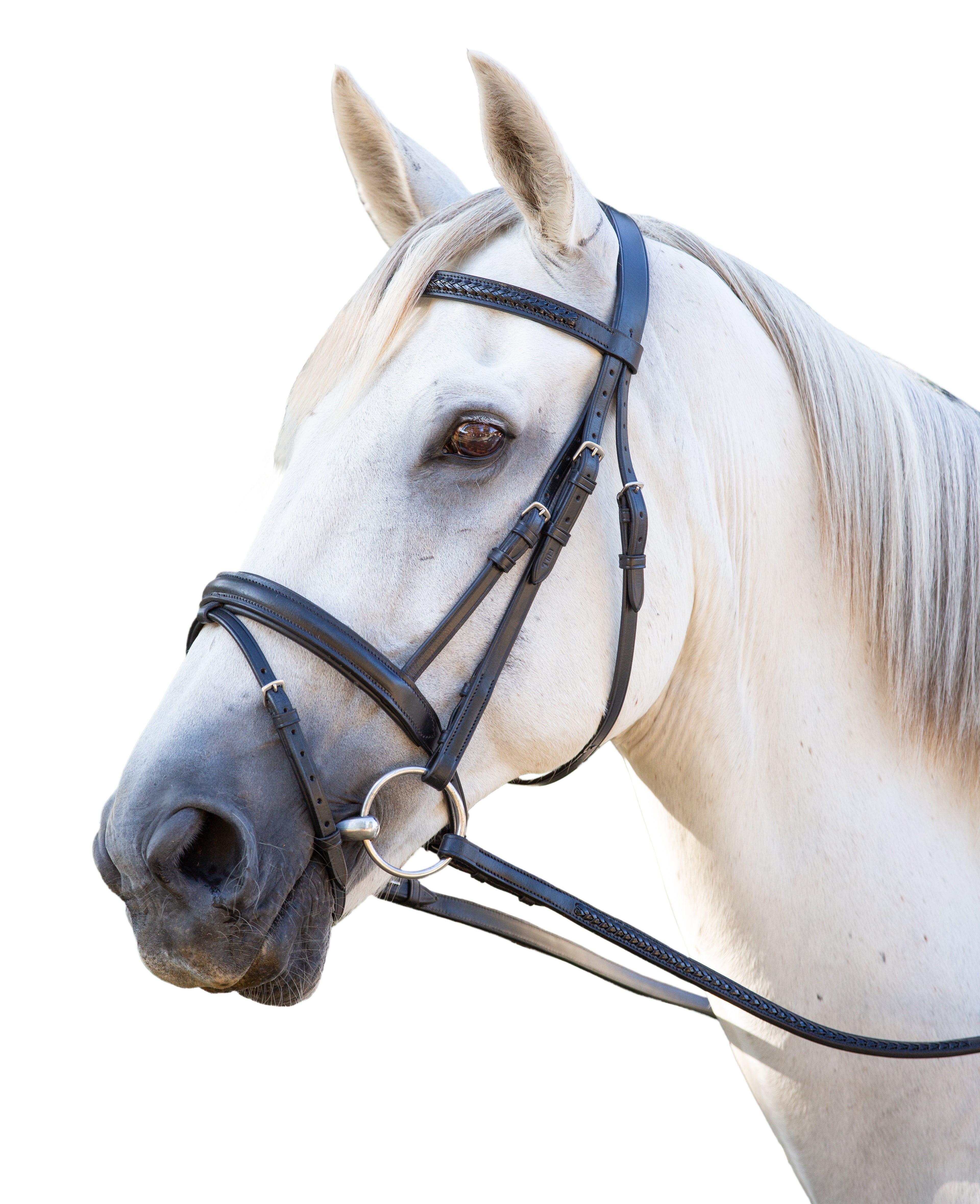 Enzo Laced Bridle Black / Cob