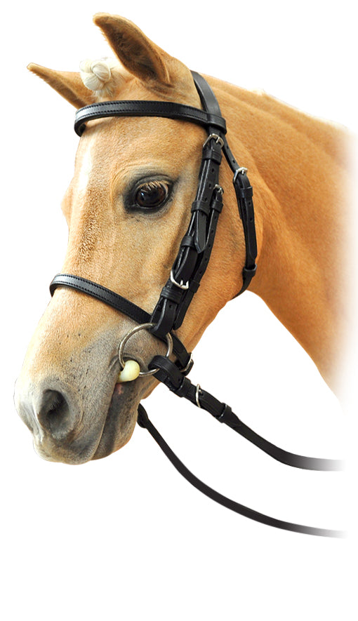 Enzo Mini Show Bridle w/Rein Black/Silver / All
