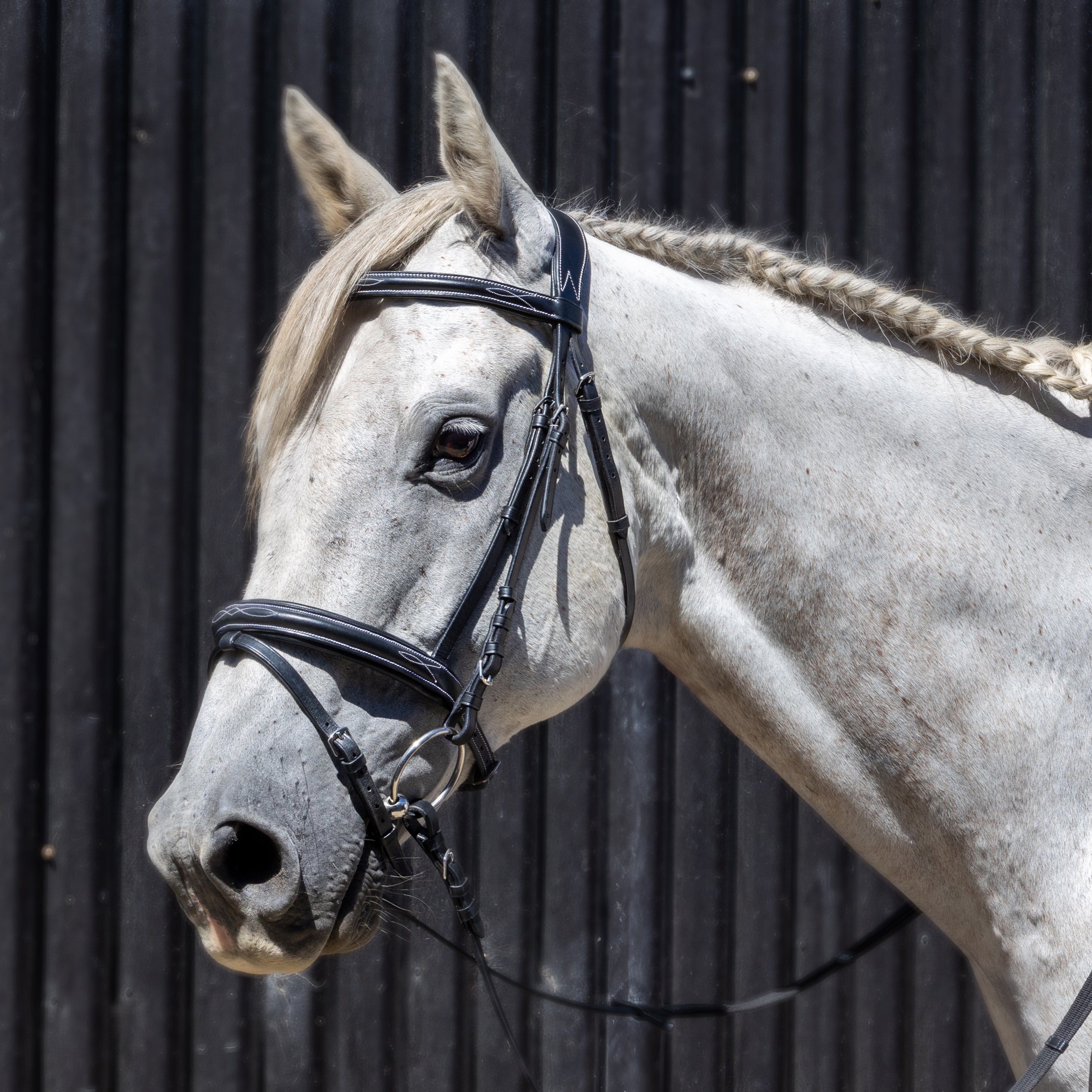 Enzo Nola Bridle Black / Cob