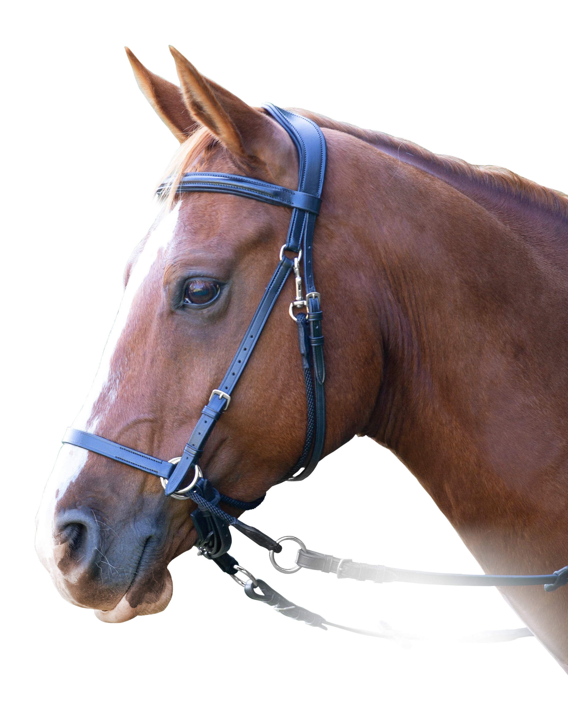 Enzo Prem Bitless Bridle One / Full