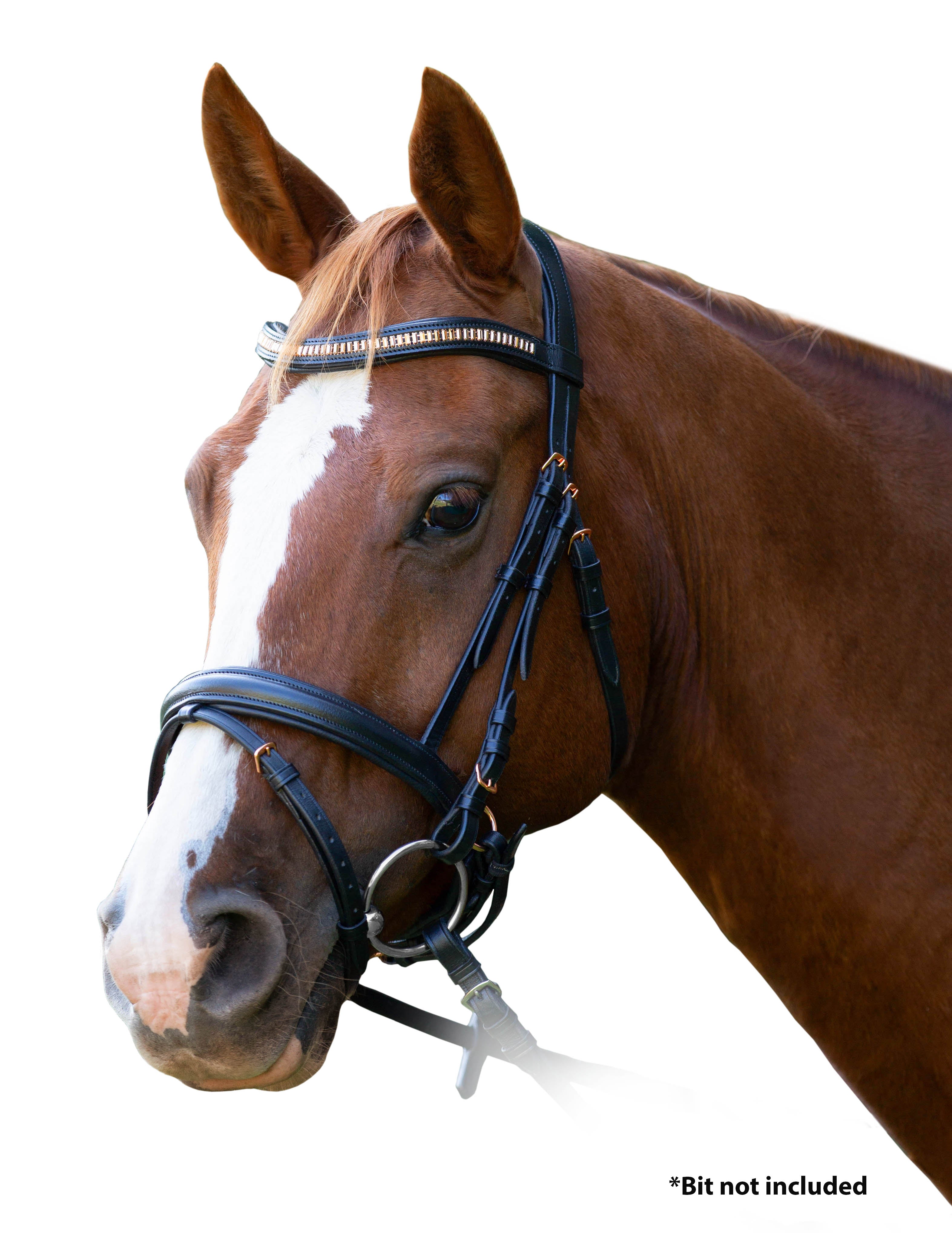Enzo Rose Bridle One / X Full