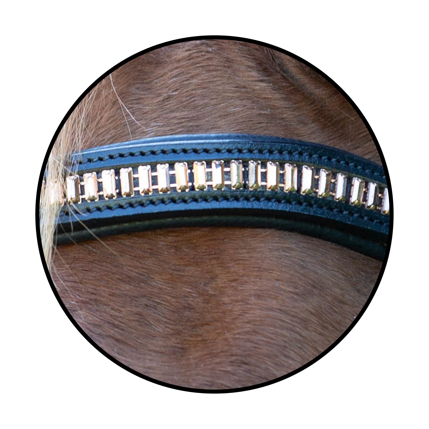 Enzo Rose Bridle One / X Full