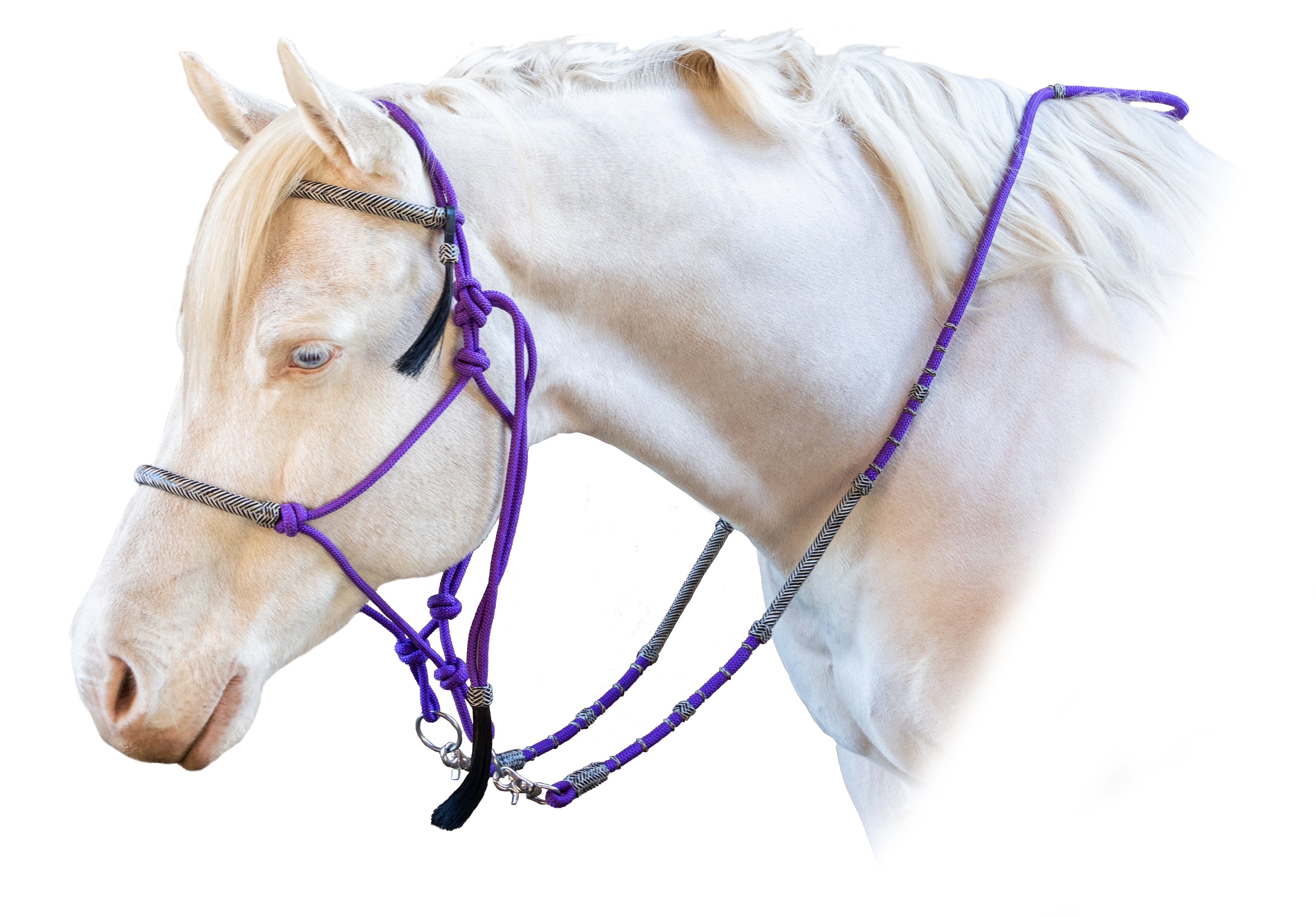 Enzo Rope Bridle w/Reins (Purple)