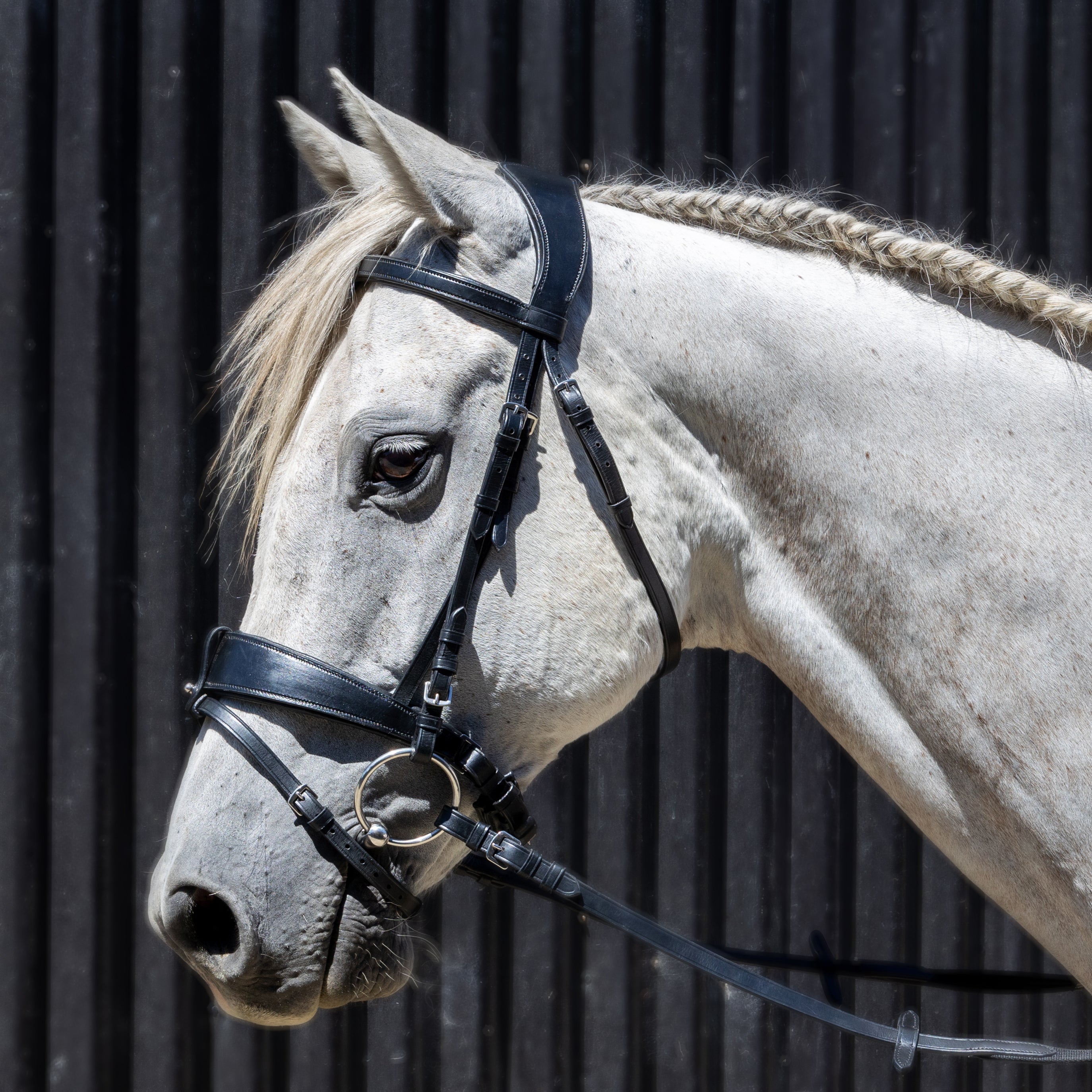Enzo Sorrento Bridle Black / Cob