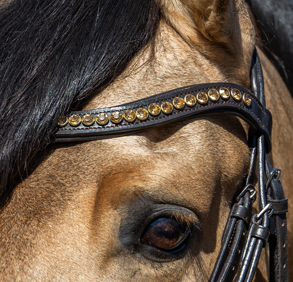 Enzo Vellet Golden Trim Bridle Black / Cob