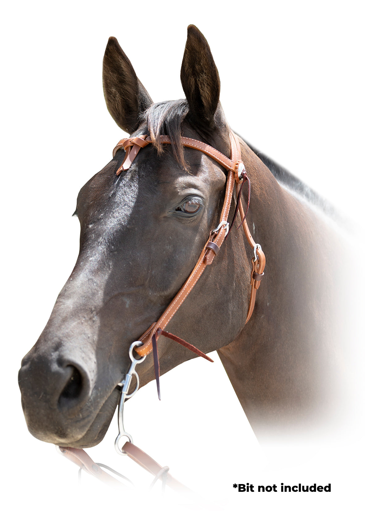 Origin A1 Western Bridle
