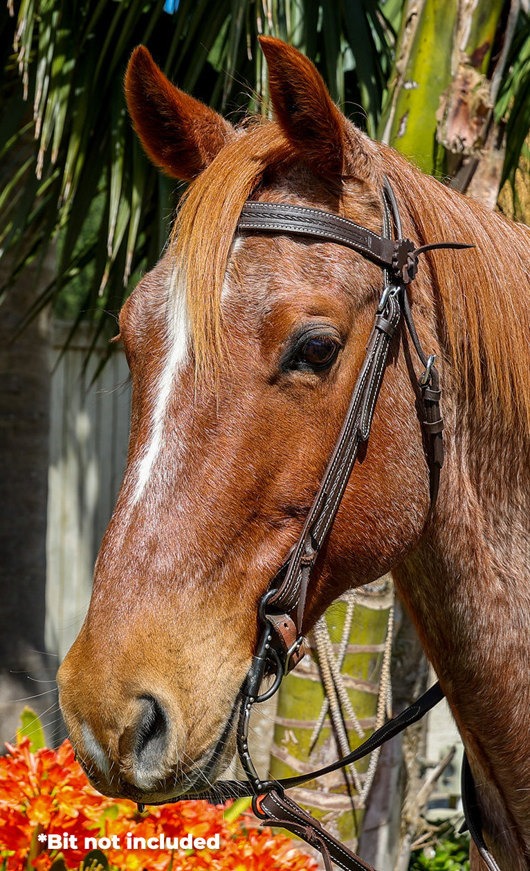 Origin Calgary Western Bridle