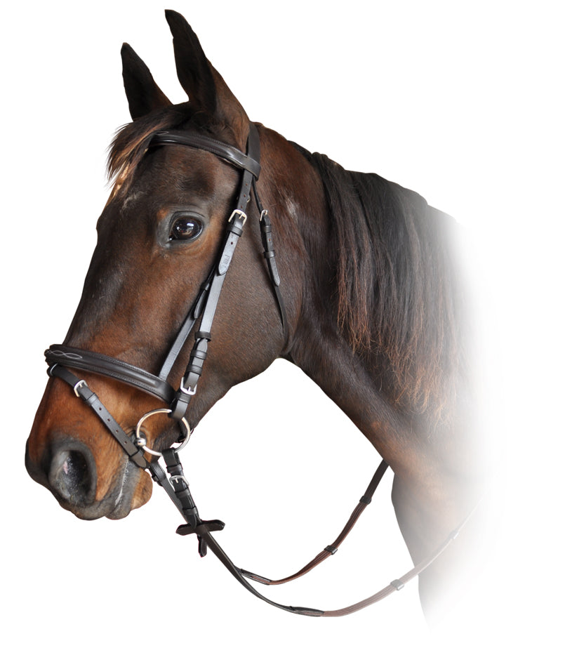 Prima Classic Stitched Bridle Brown / Pony