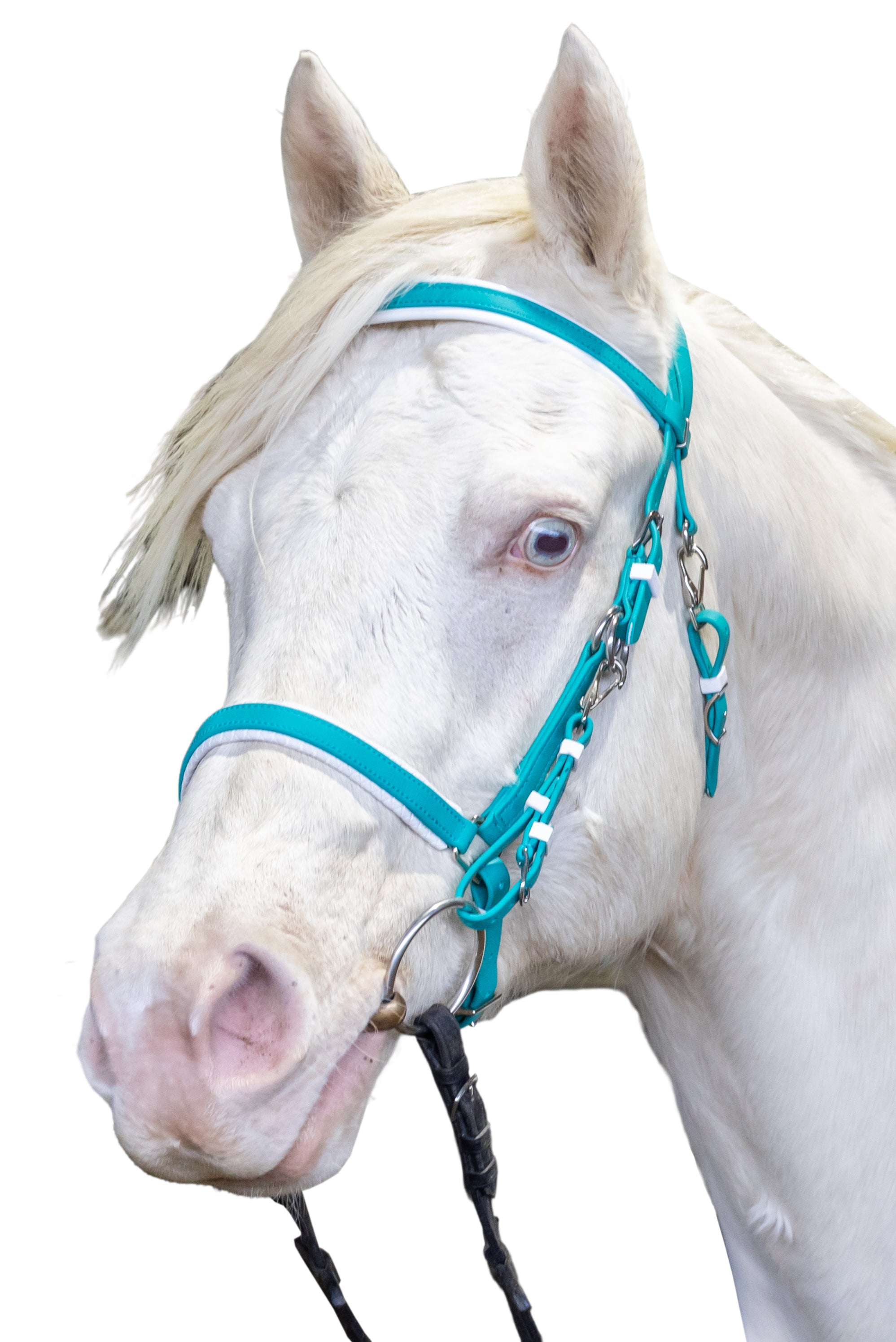 Stride Deluxe Endurance Bridle Navy/White / All
