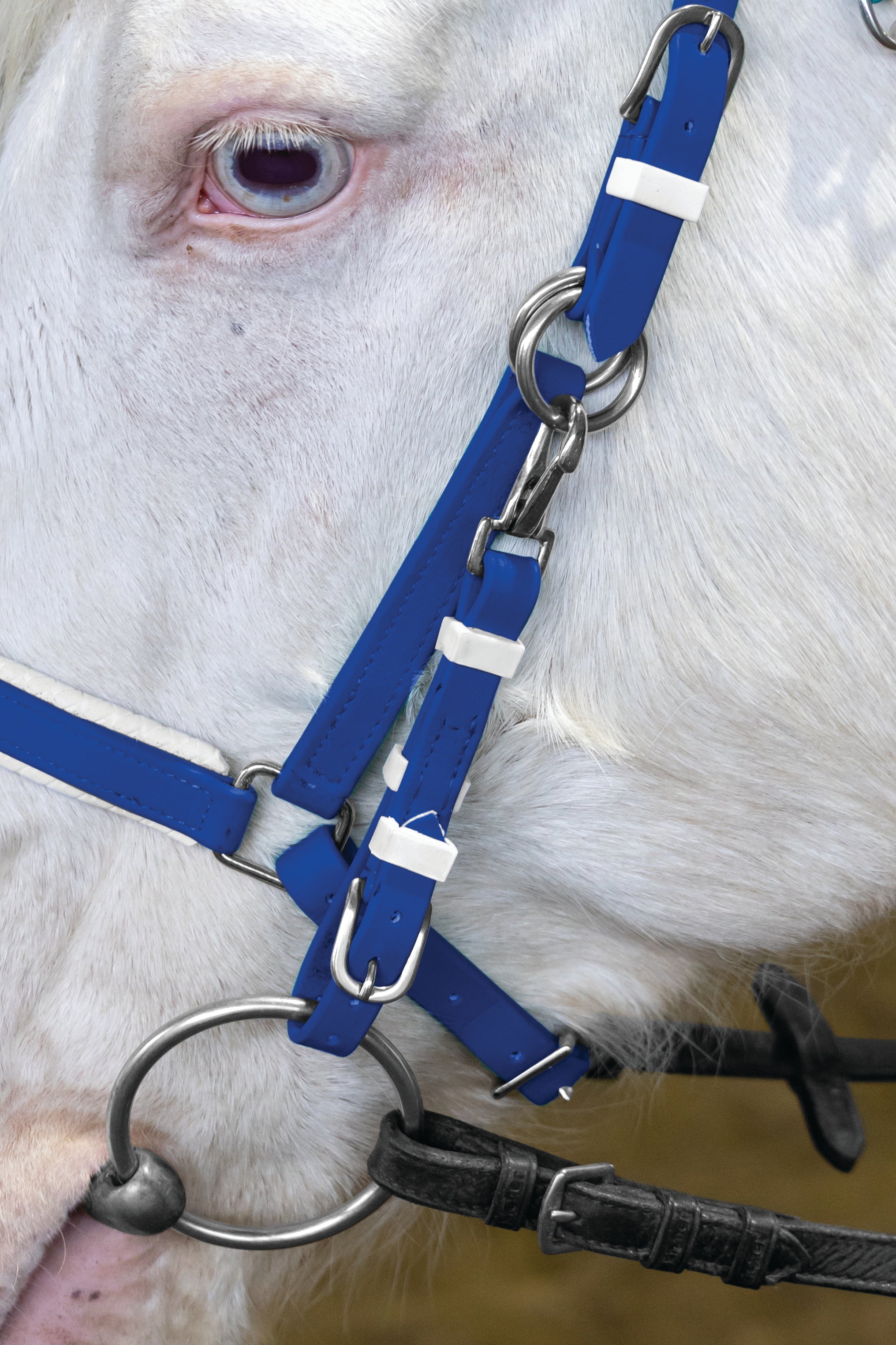 Stride Deluxe Endurance Bridle Navy/White / All