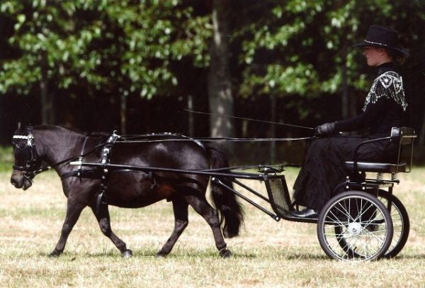 Easy Entry Horse Cart Mini One / 48 Inch