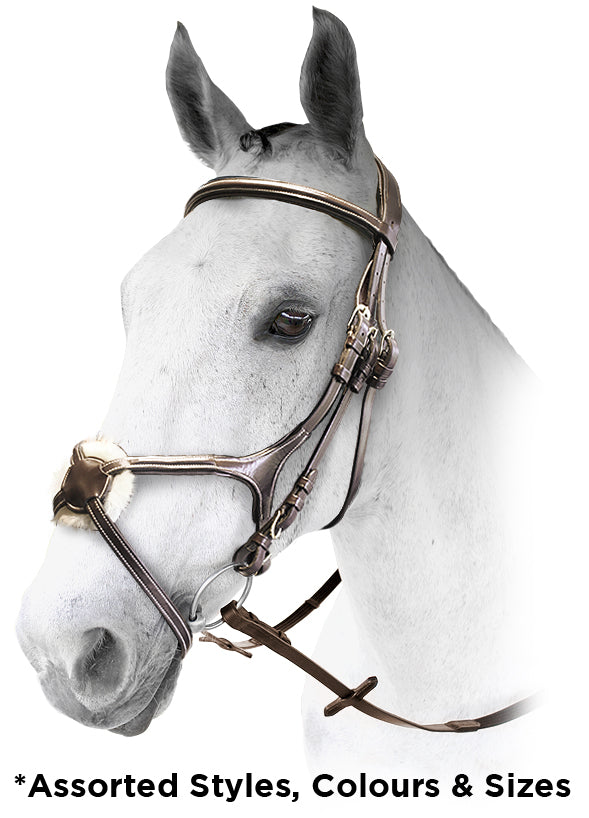 CCI Leather Bridle (Asst)