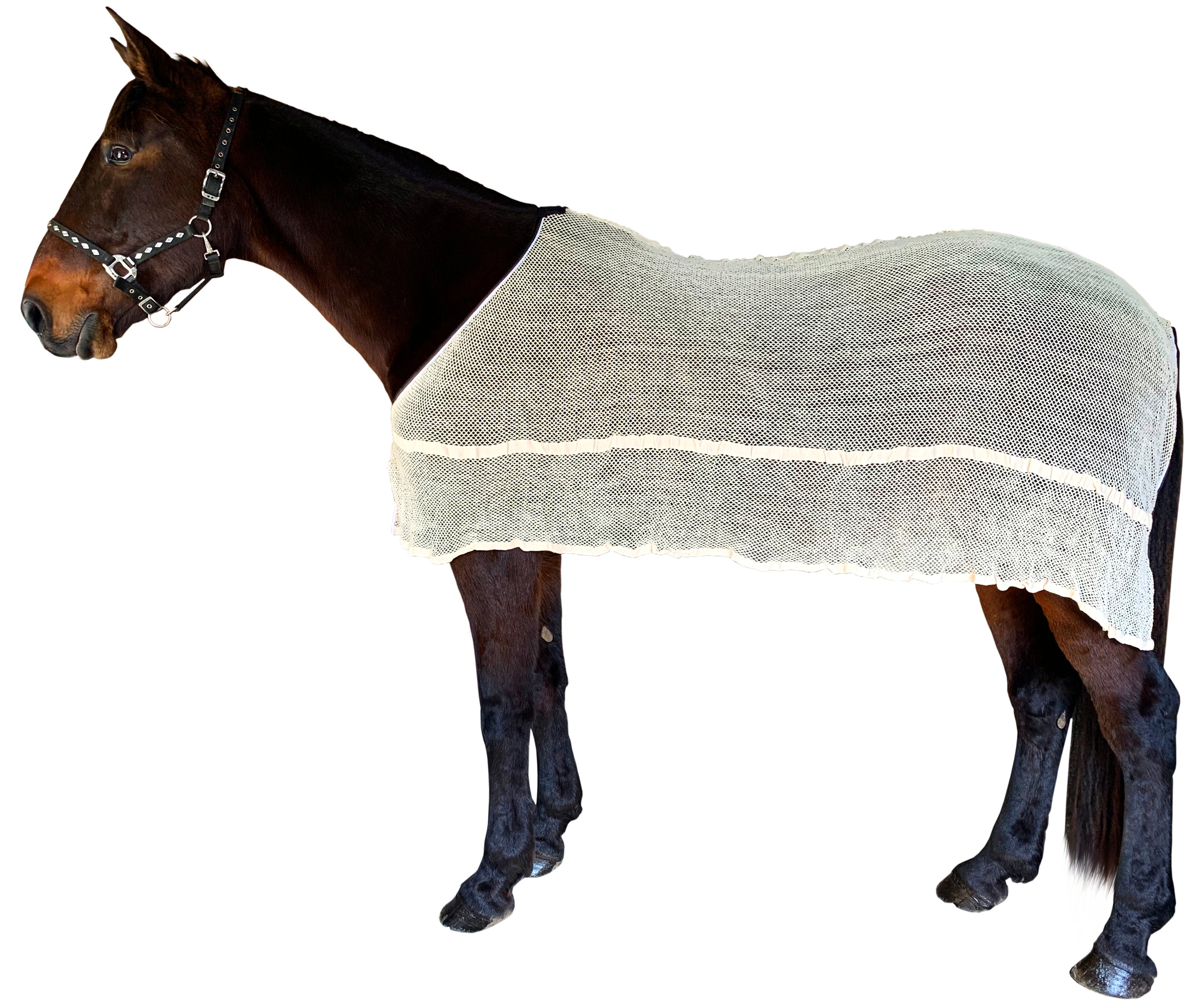 CCI Anti Sweat Rug (Asst)