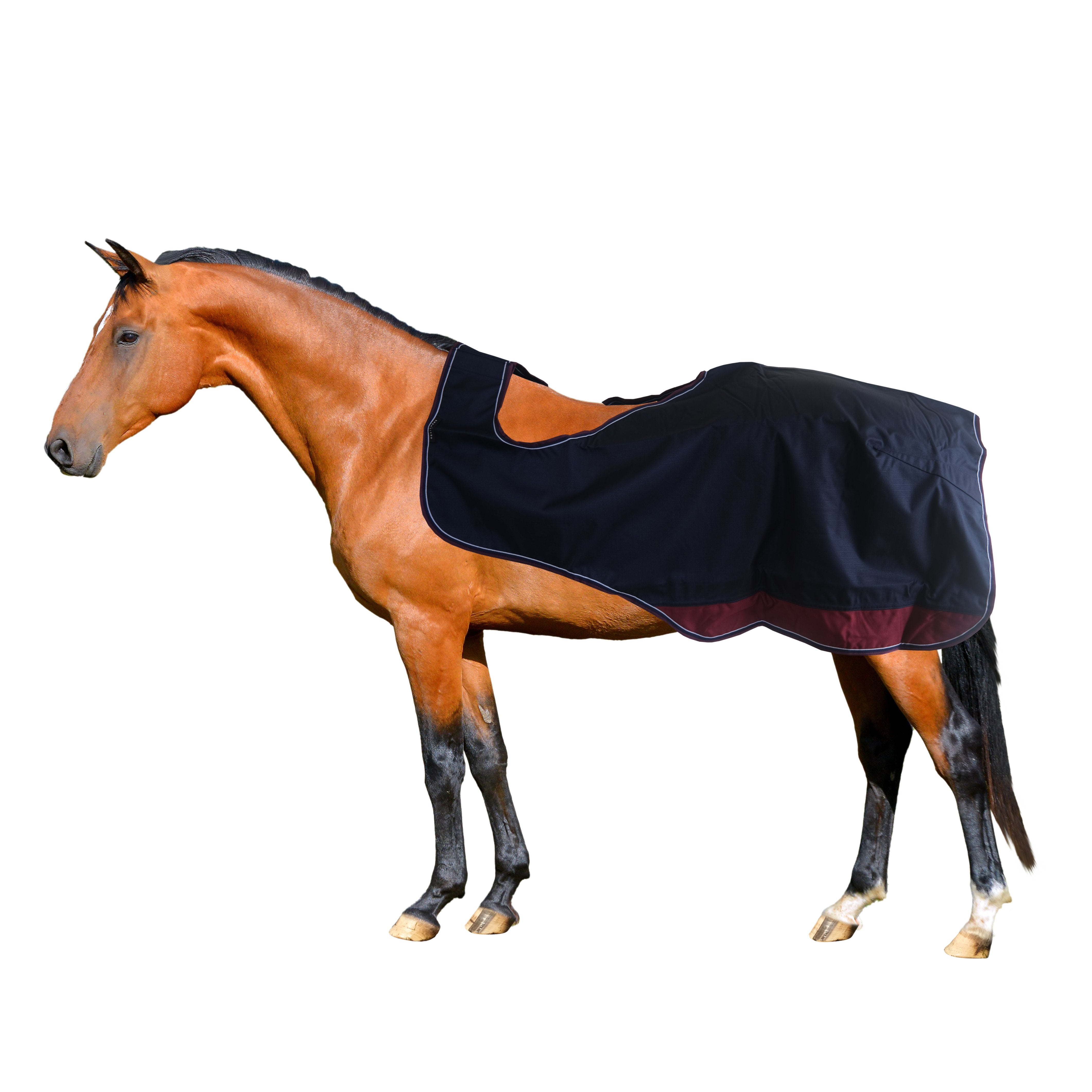 Clearance Exercise Rug (Asst)