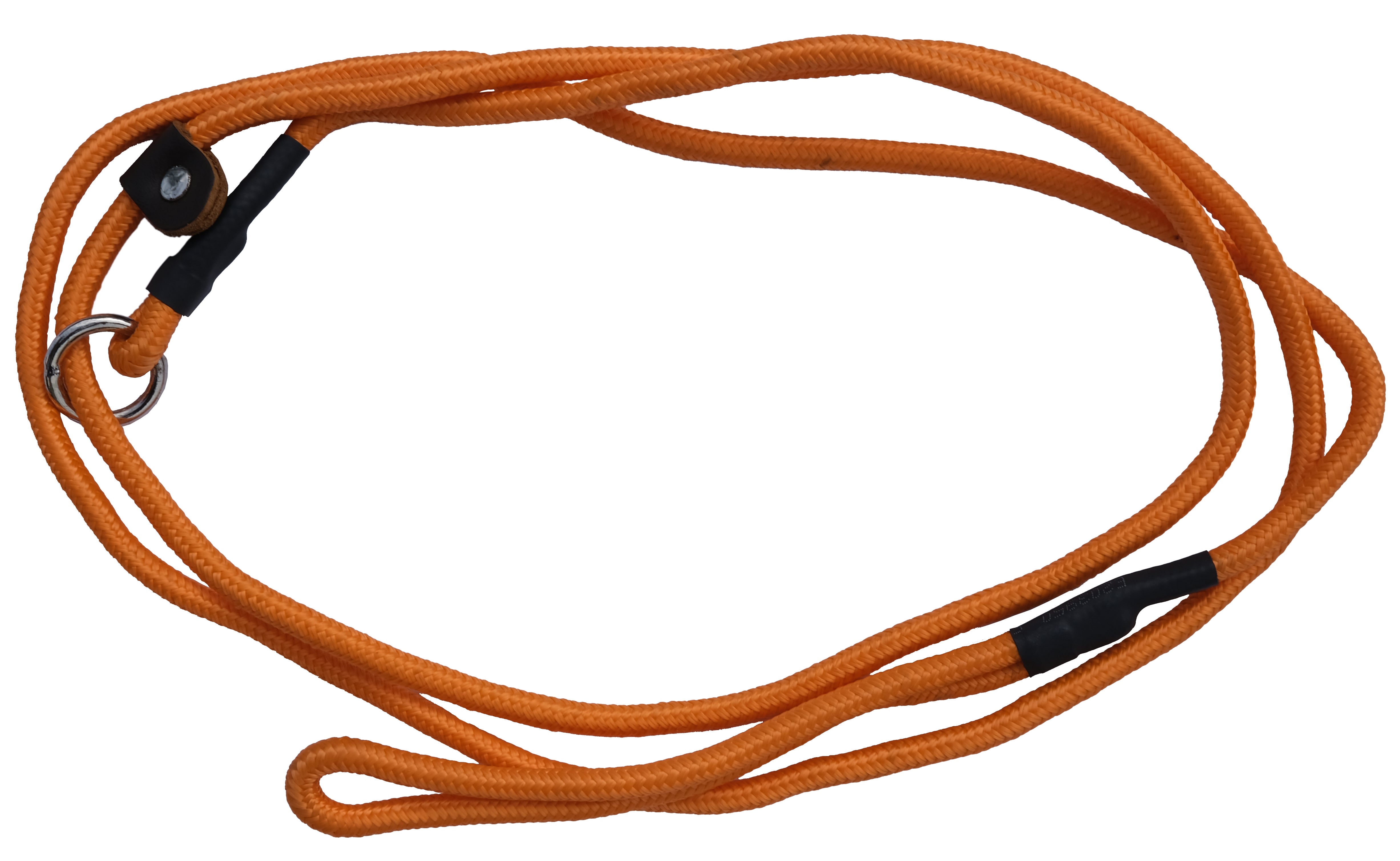 Clearance Dog Lead